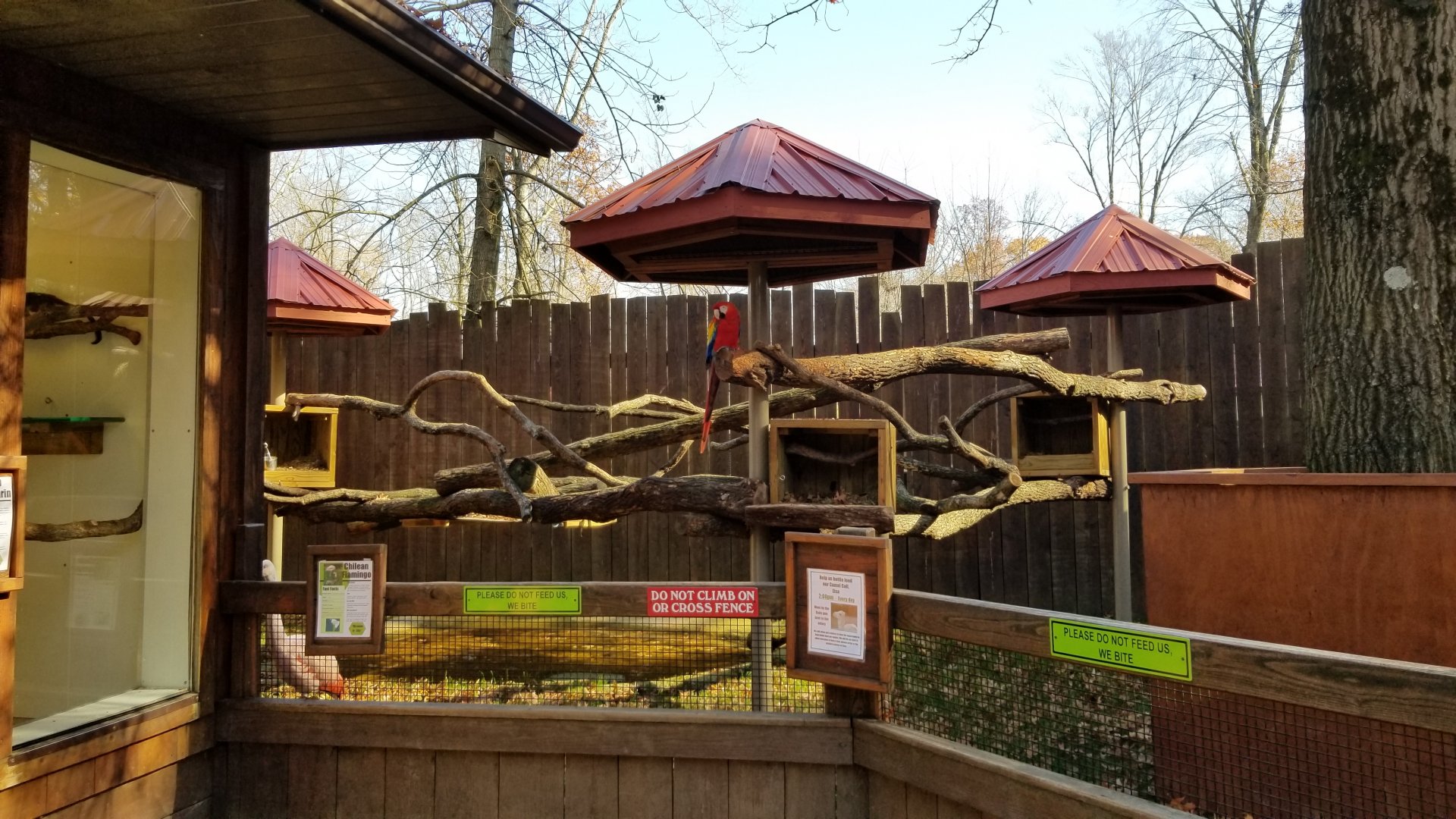 Living Treasures Moraine - Macaw, lone flamingo area