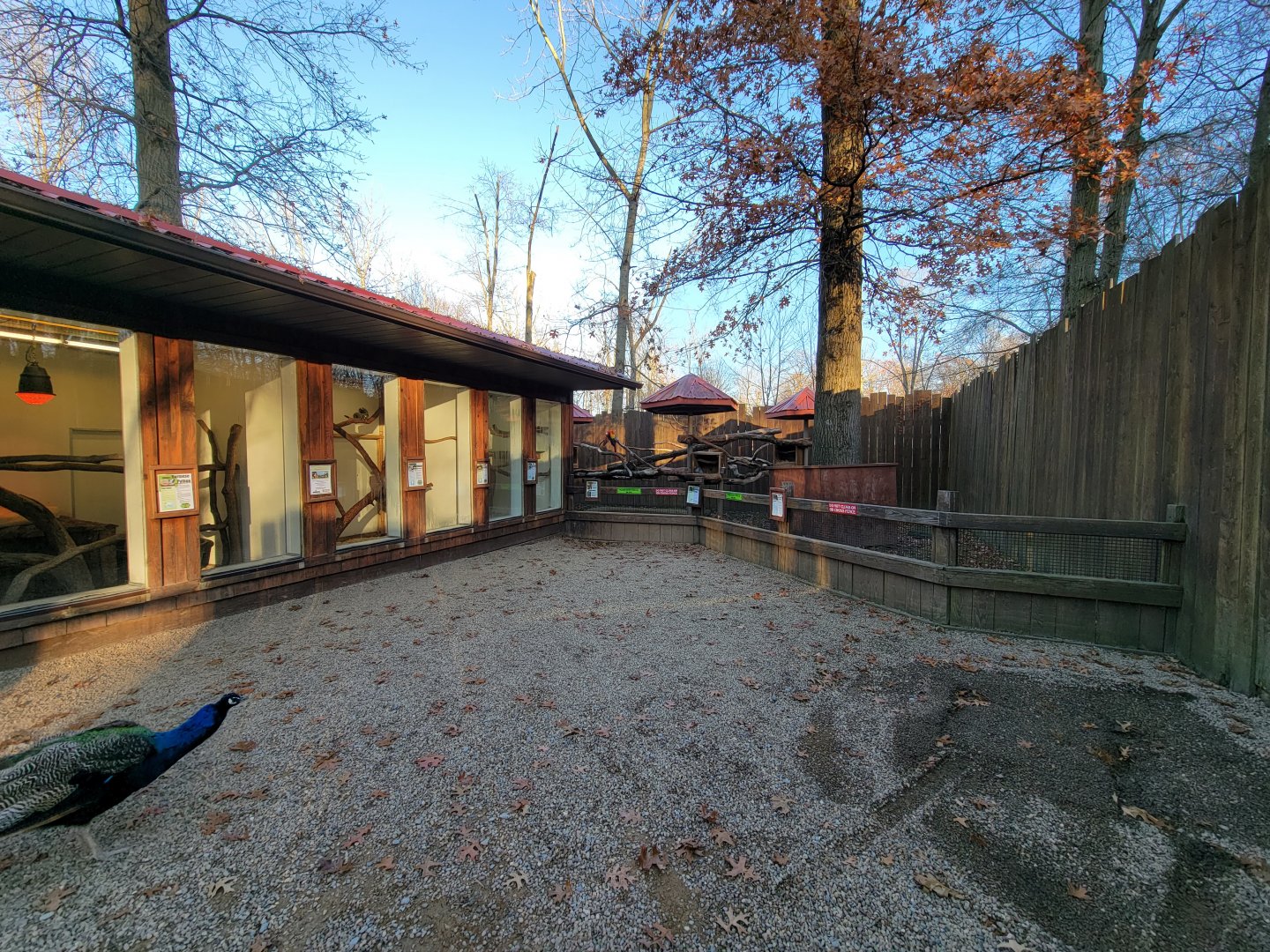 Living Treasures Moraine - Marmosets, macaws, tortoises