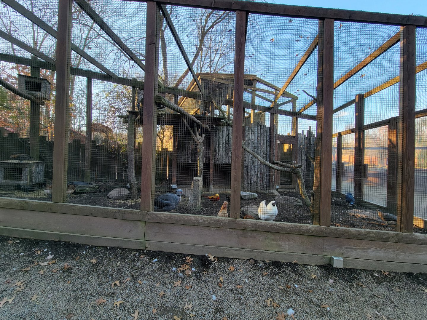 Living Treasures Moraine - Mixed aviary