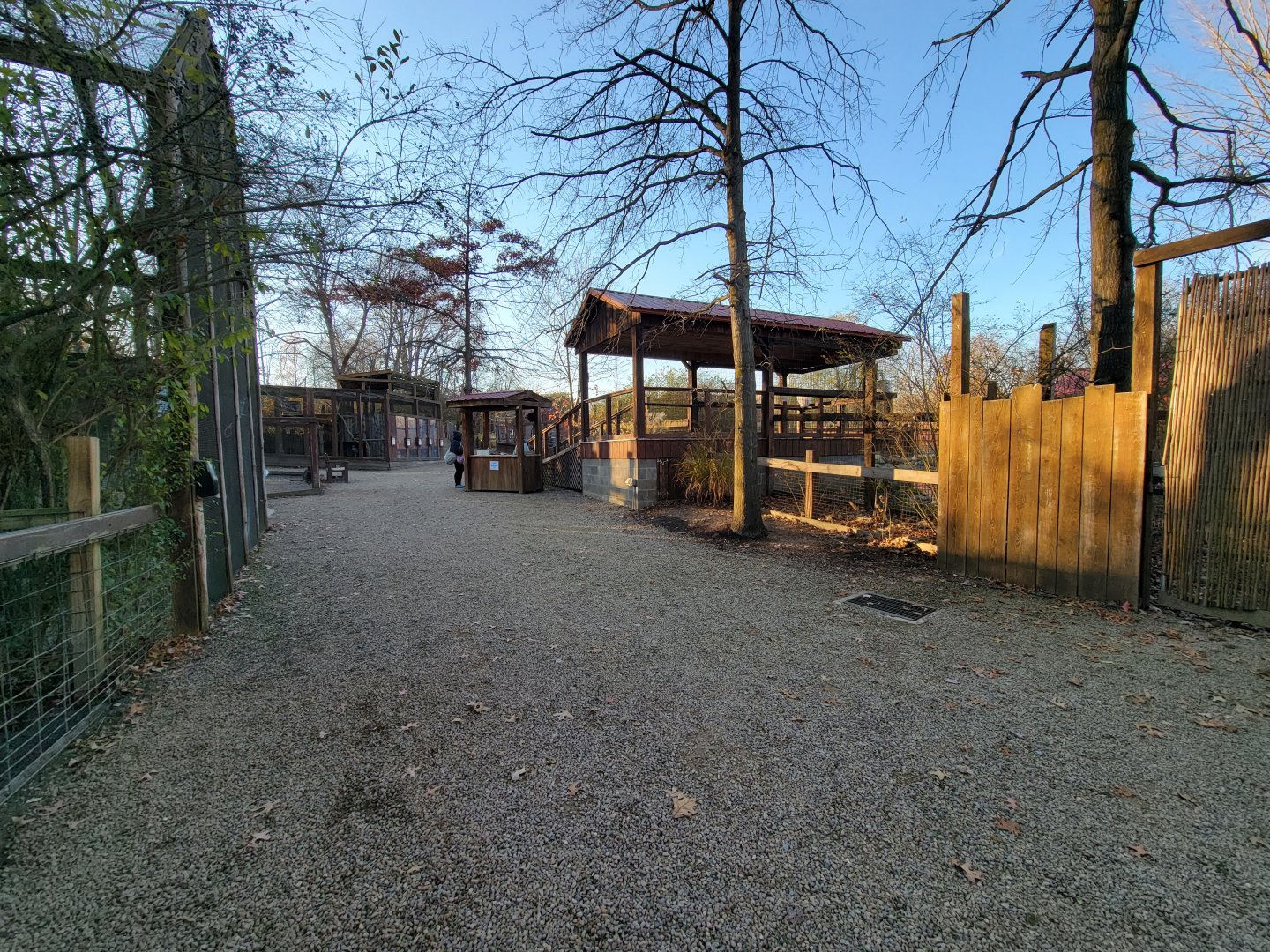 Living Treasures Moraine - Path, alligators on the right
