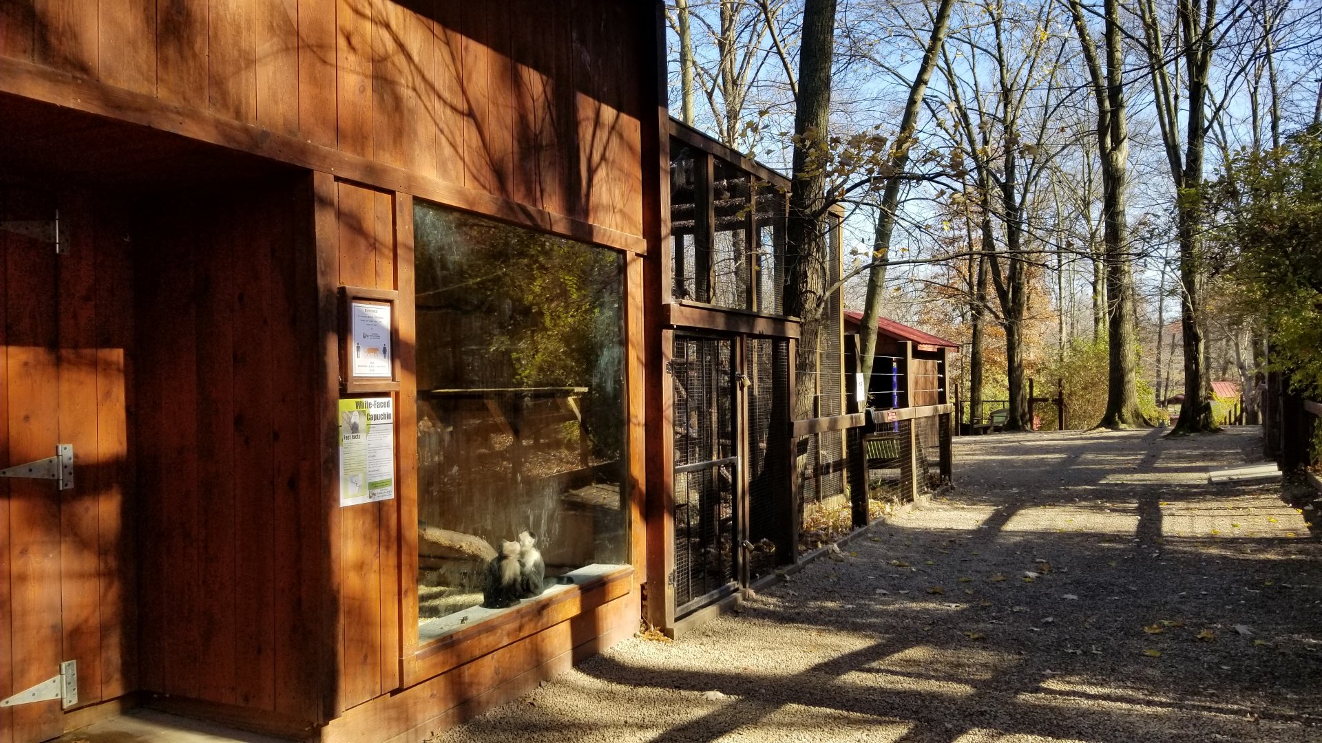 Living Treasures Moraine - Path, white-faced capuchins on left