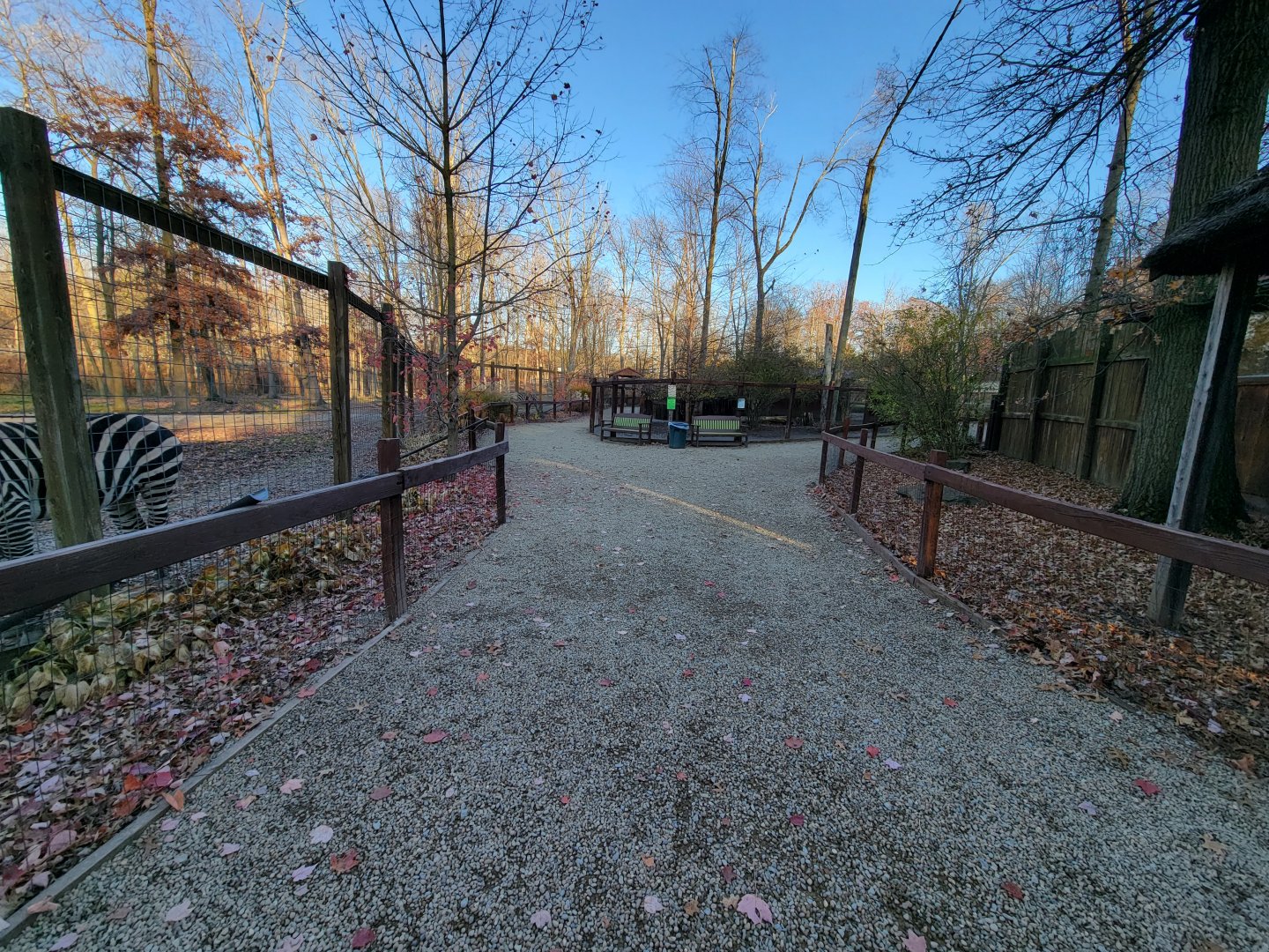 Living Treasures Moraine - Path, with muntjac in the middle of the loop