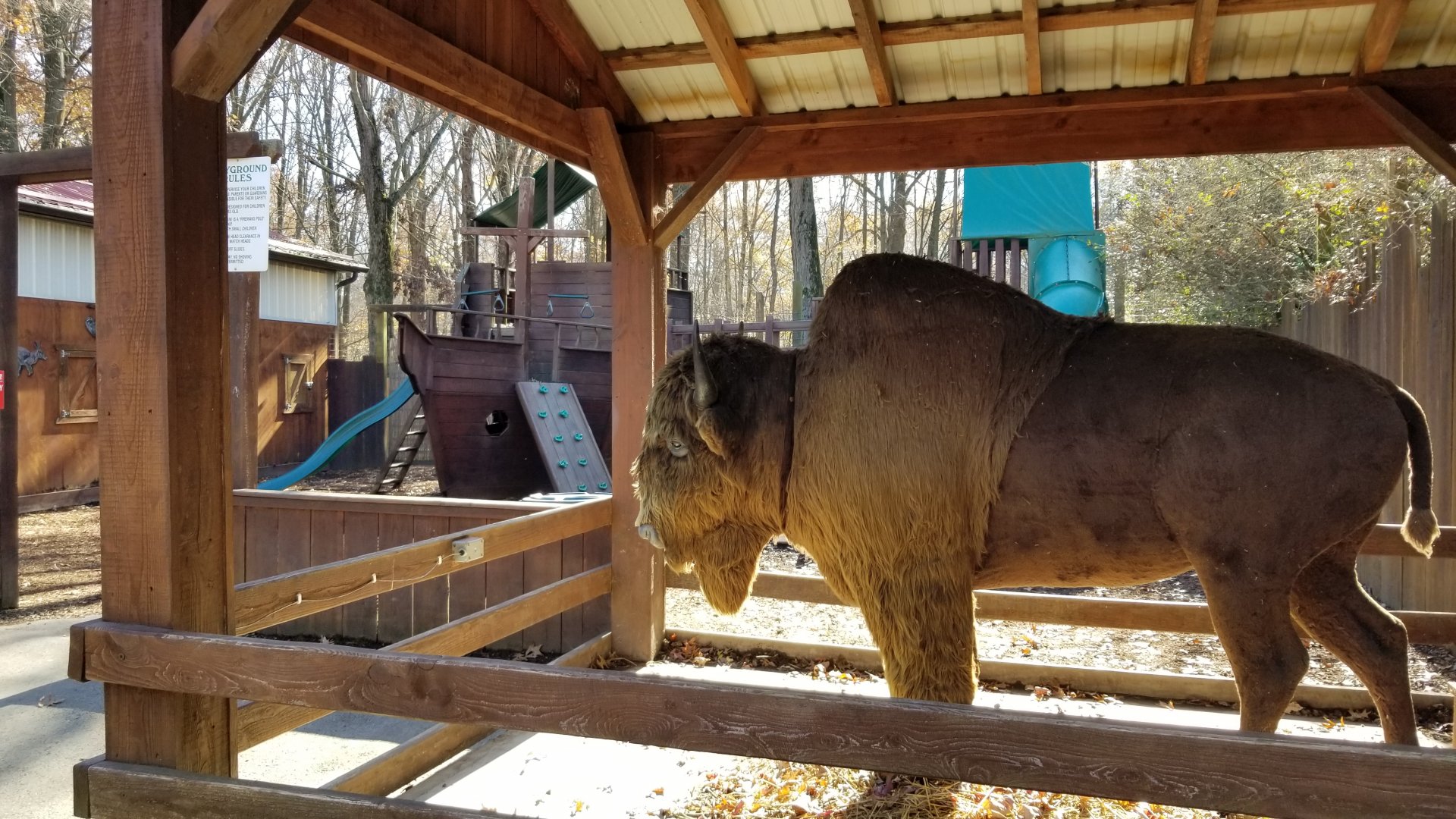 Living Treasures Moraine - Play area, fake bison