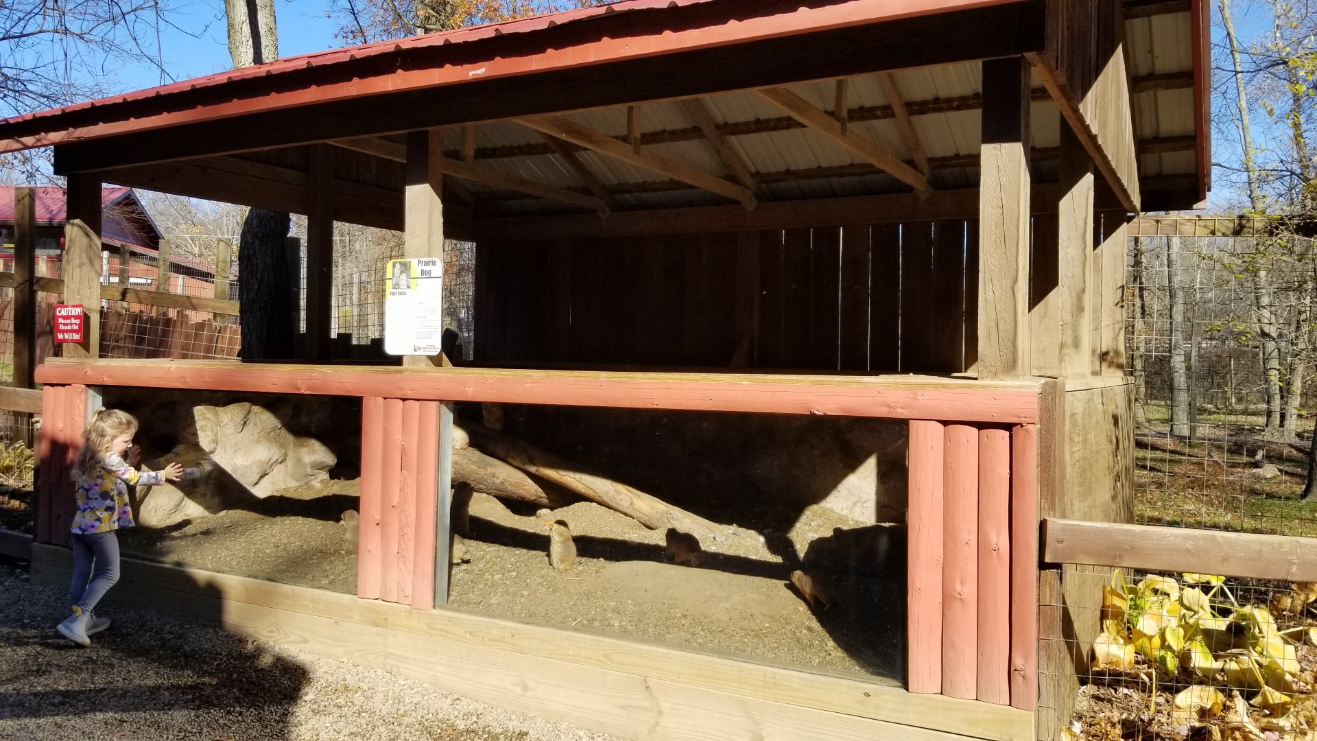 Living Treasures Moraine - Prairie dogs