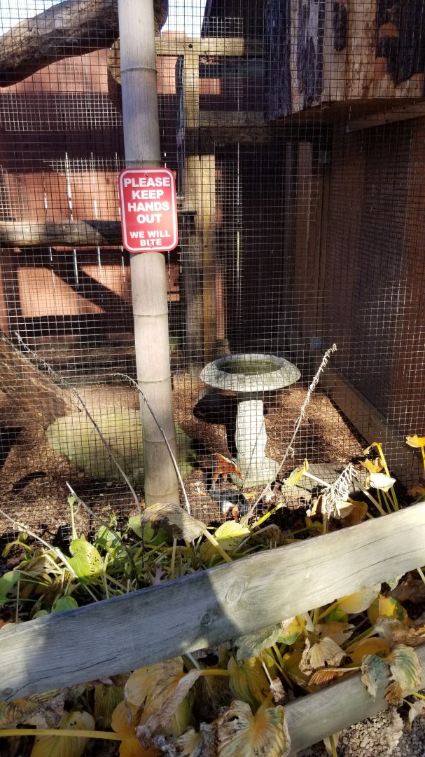 Living Treasures Moraine - Prevost's Squirrels