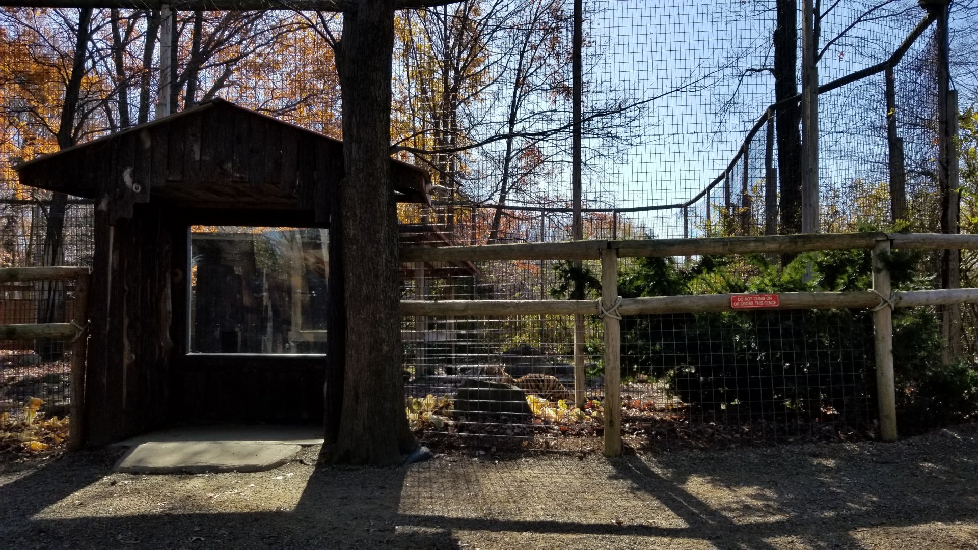 Living Treasures Moraine - Right end of tiger exhibit