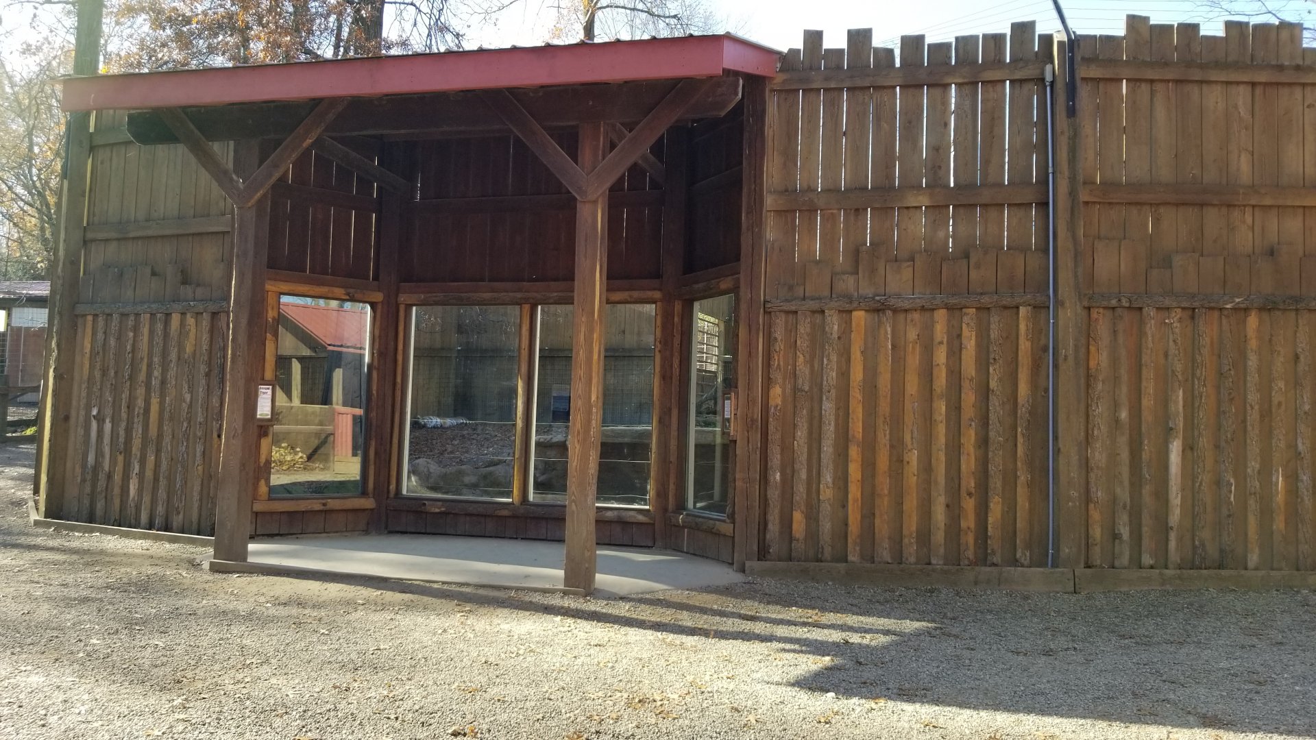 Living Treasures Moraine - Second tiger exhibit