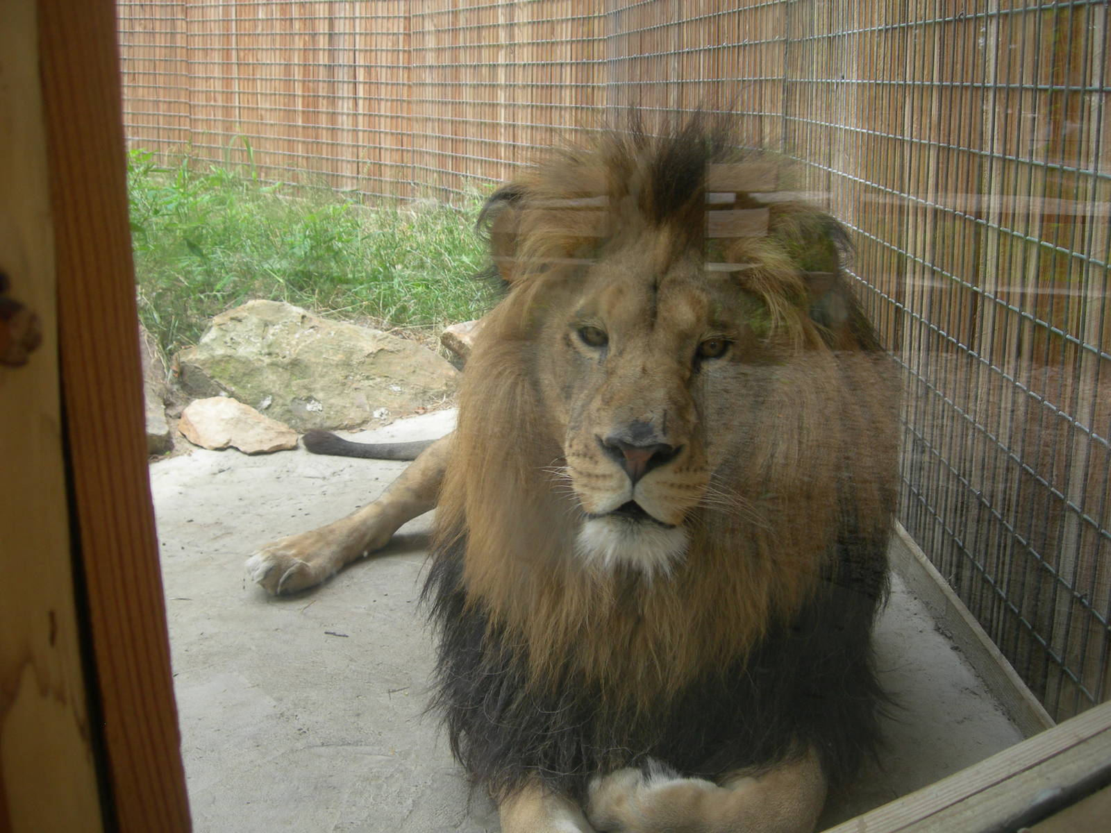 Living Treasures Moraine State Park