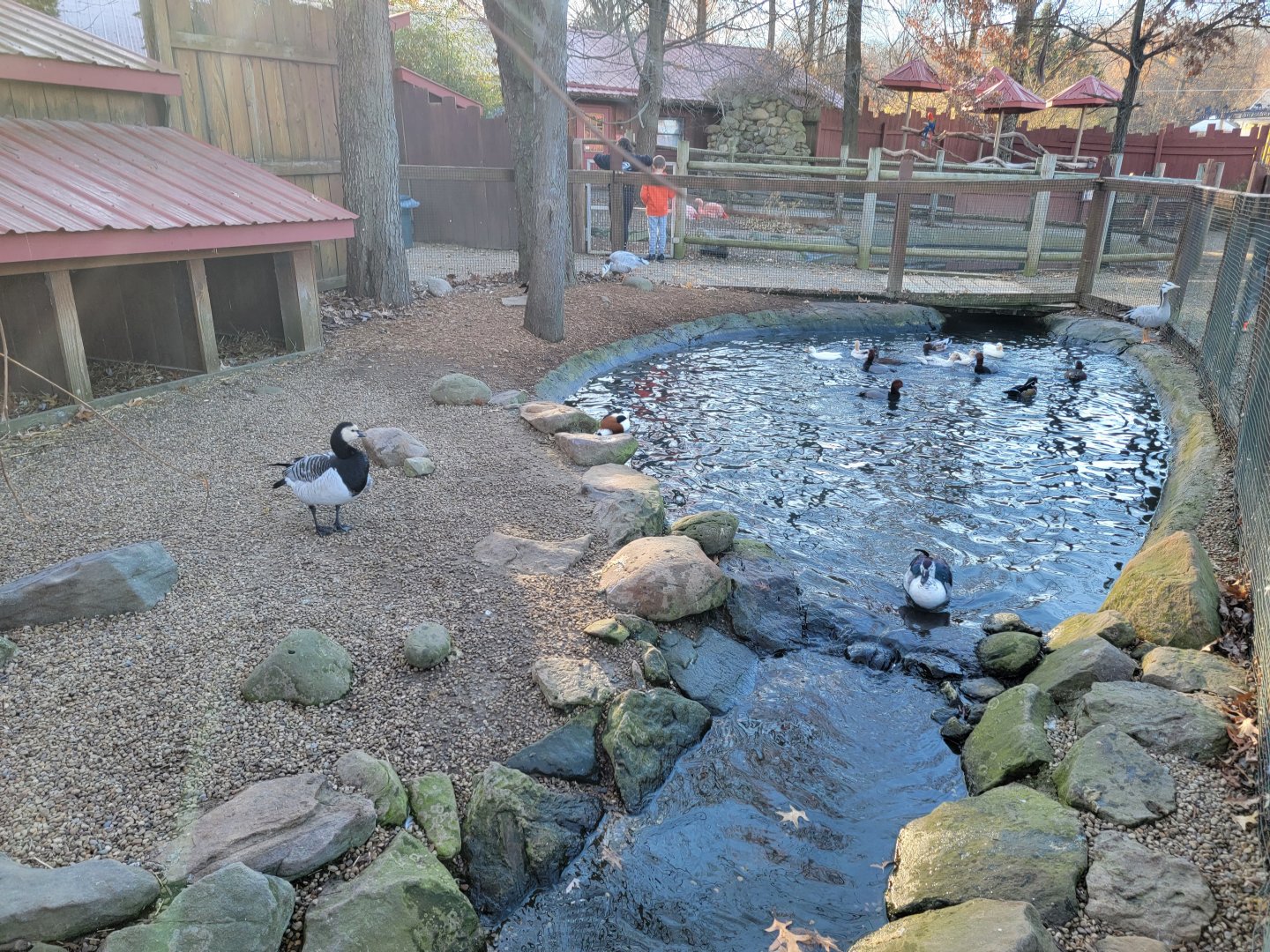 Living Treasures Moraine - Waterfowl pond, species visible in comments