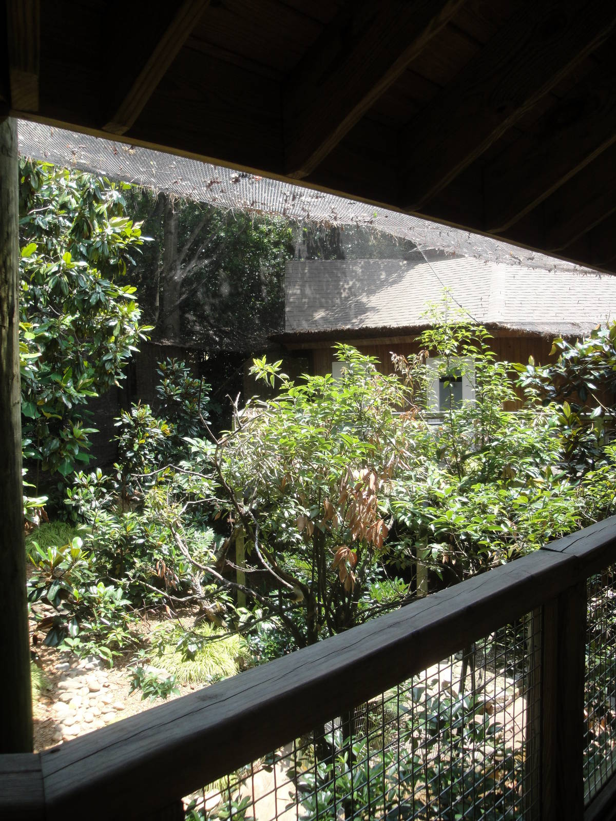 Living Treehouse Aviary