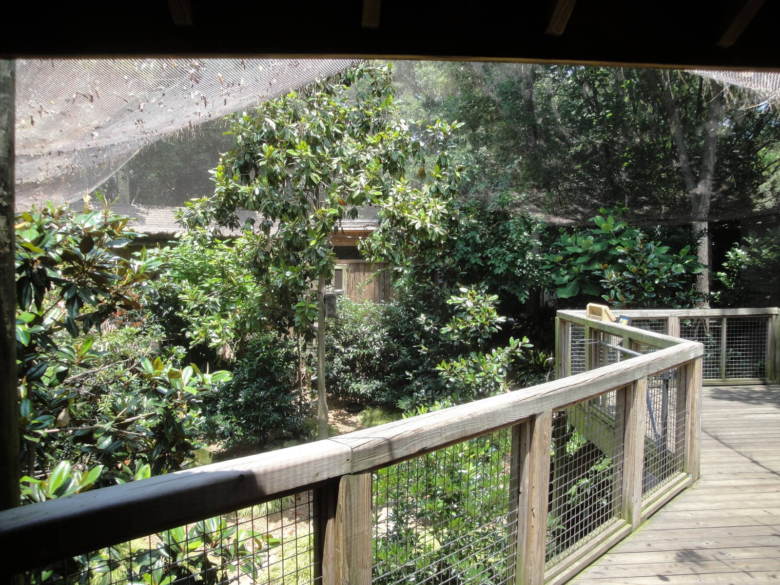 Living Treehouse Aviary