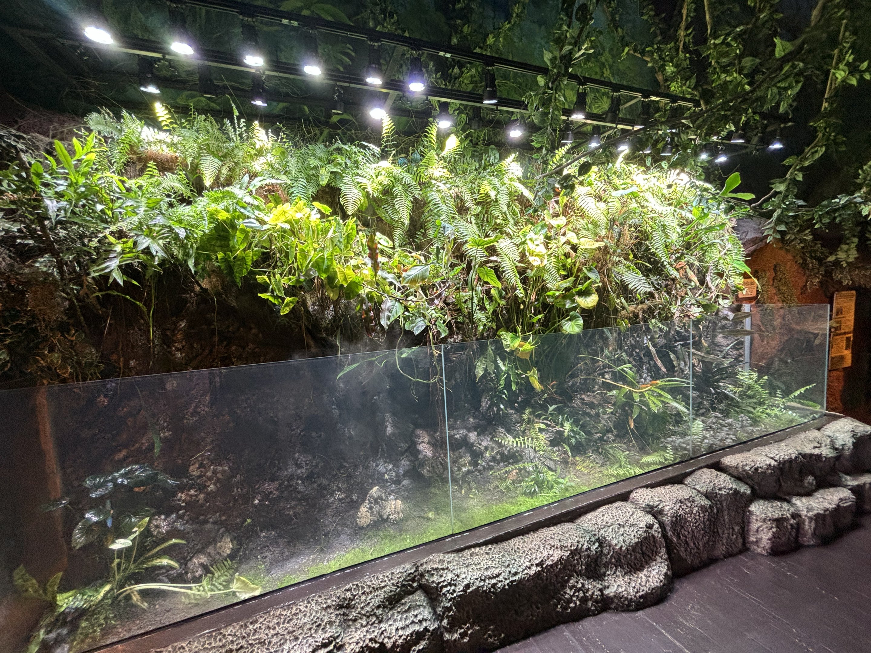 Living Wall Exhibit