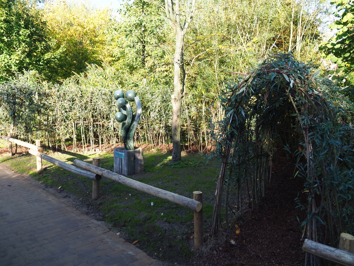 Living willow play tunnel (Oct 13th, 2018)