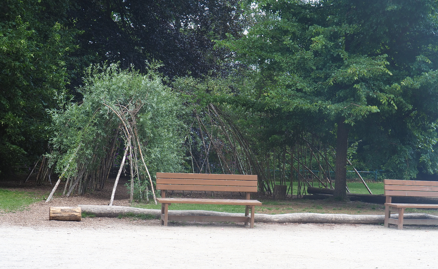 Living willow tunnel, 2022-05-28