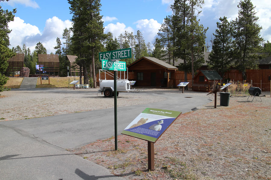 living with bears exhibits