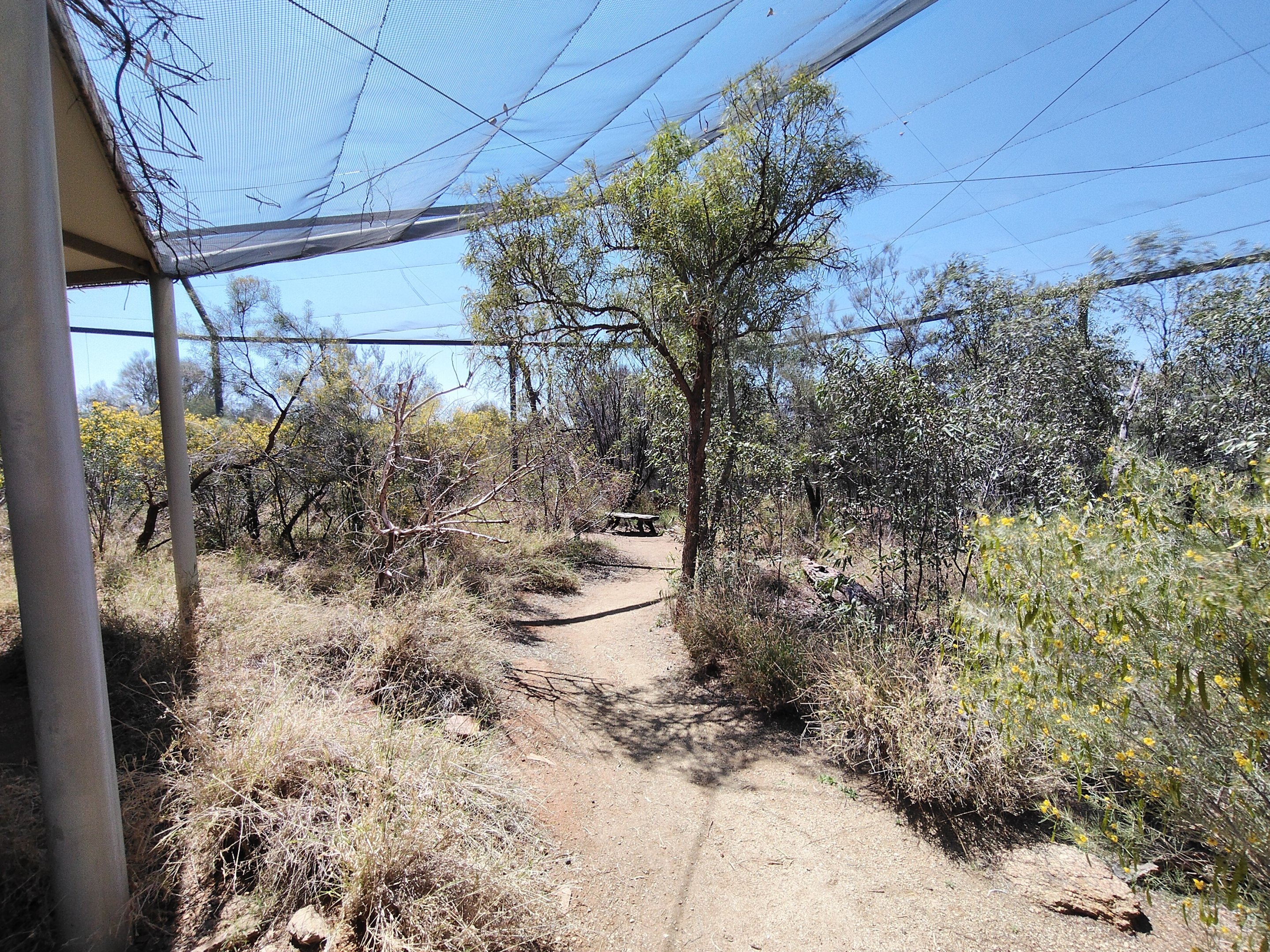 Living Woodlands aviary
