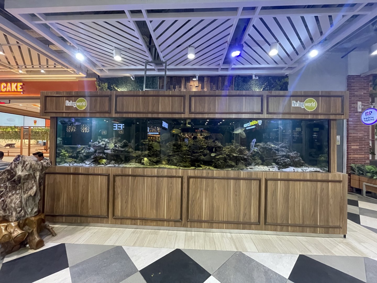 living world alam sutera’s saltwater aquarium