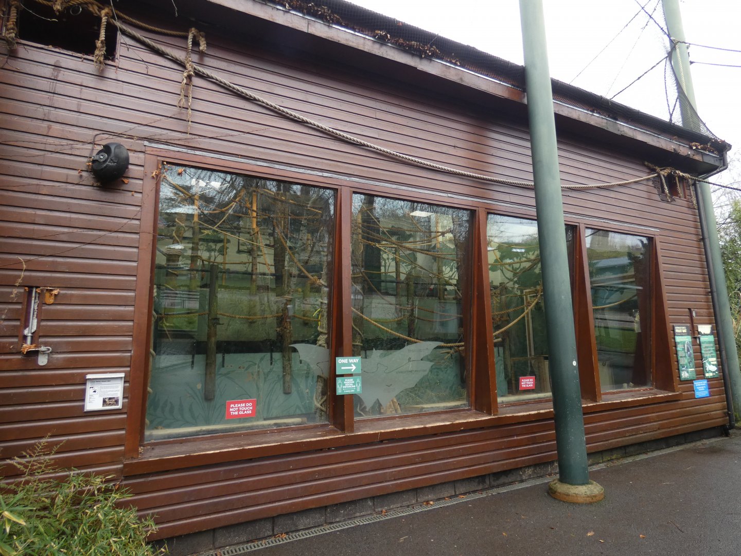 Livingstone's fruit bat house