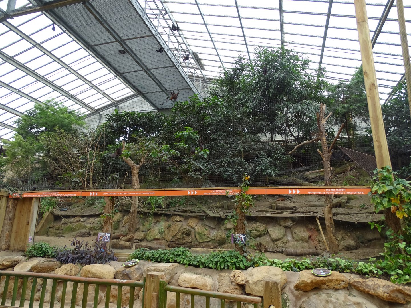 Livingstone's fruit bat, Lyle's flying fox and Madagascar crested ibis aviary
