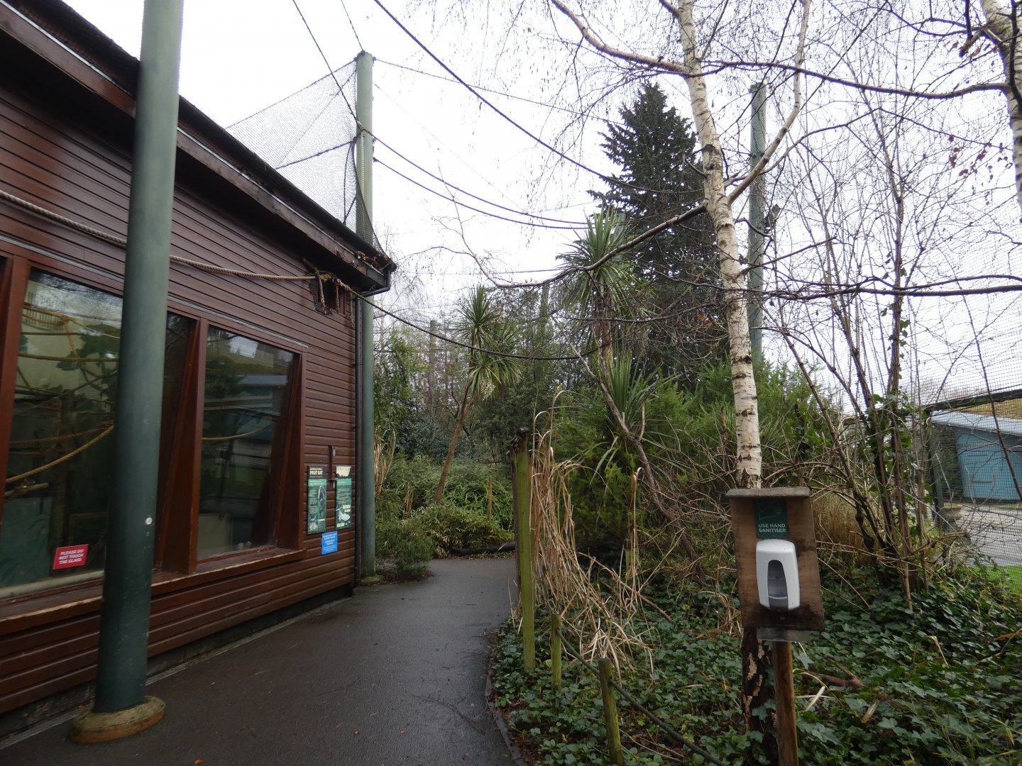 Livingstone's fruit bat walk-through enclosure