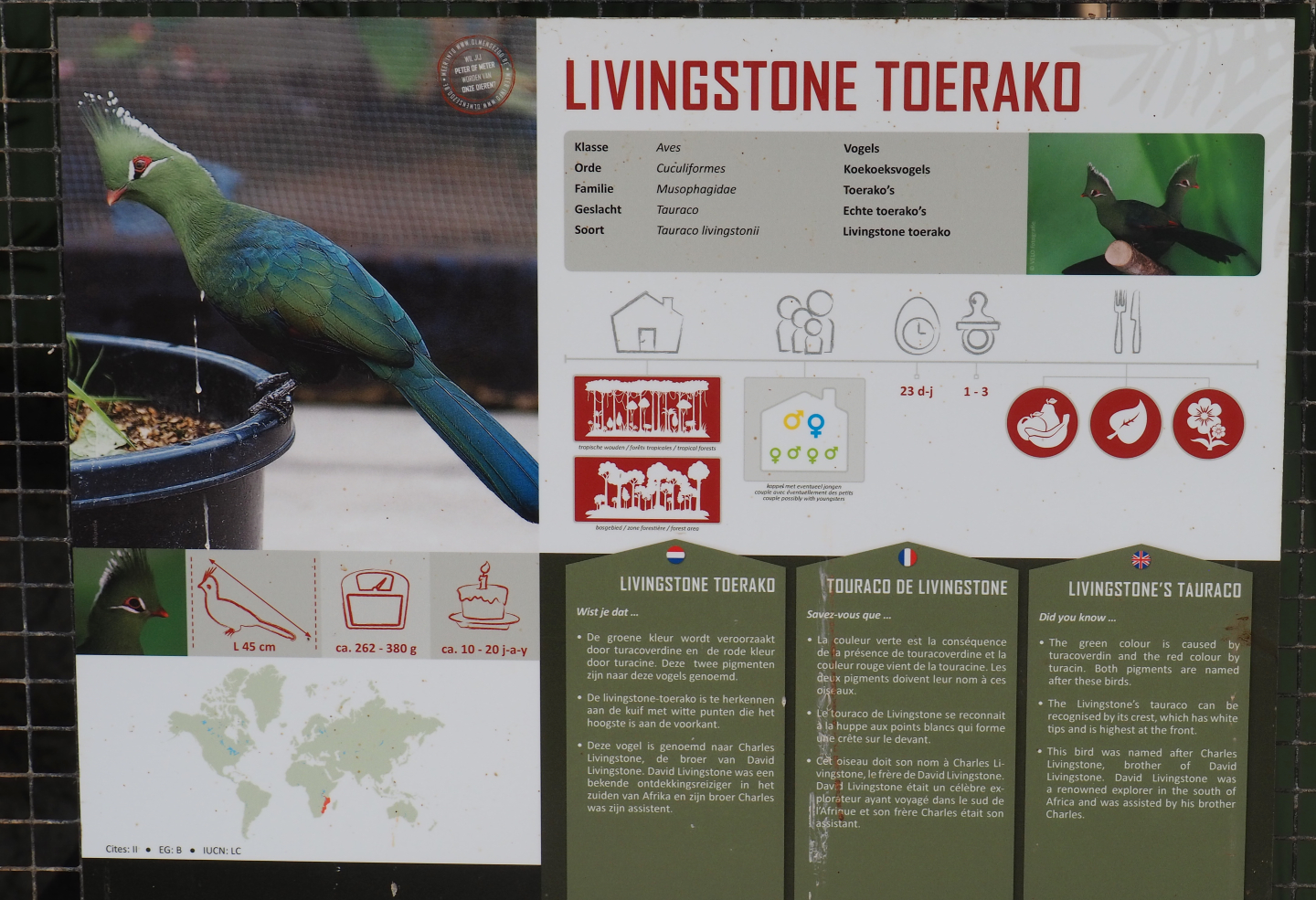 Livingstone's turaco signage, 2019-08-04