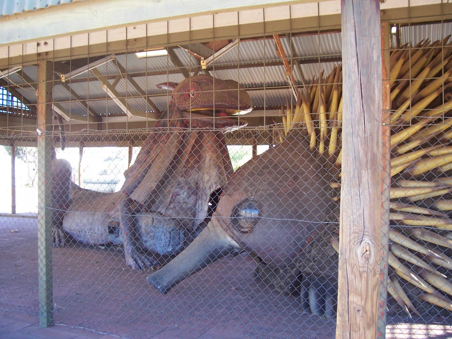 Lizard and Echidna Sculptures