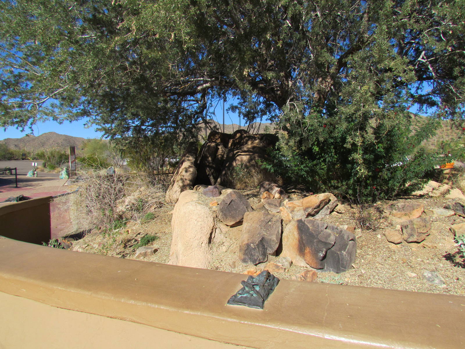 Lizard Enclosure at Entrance