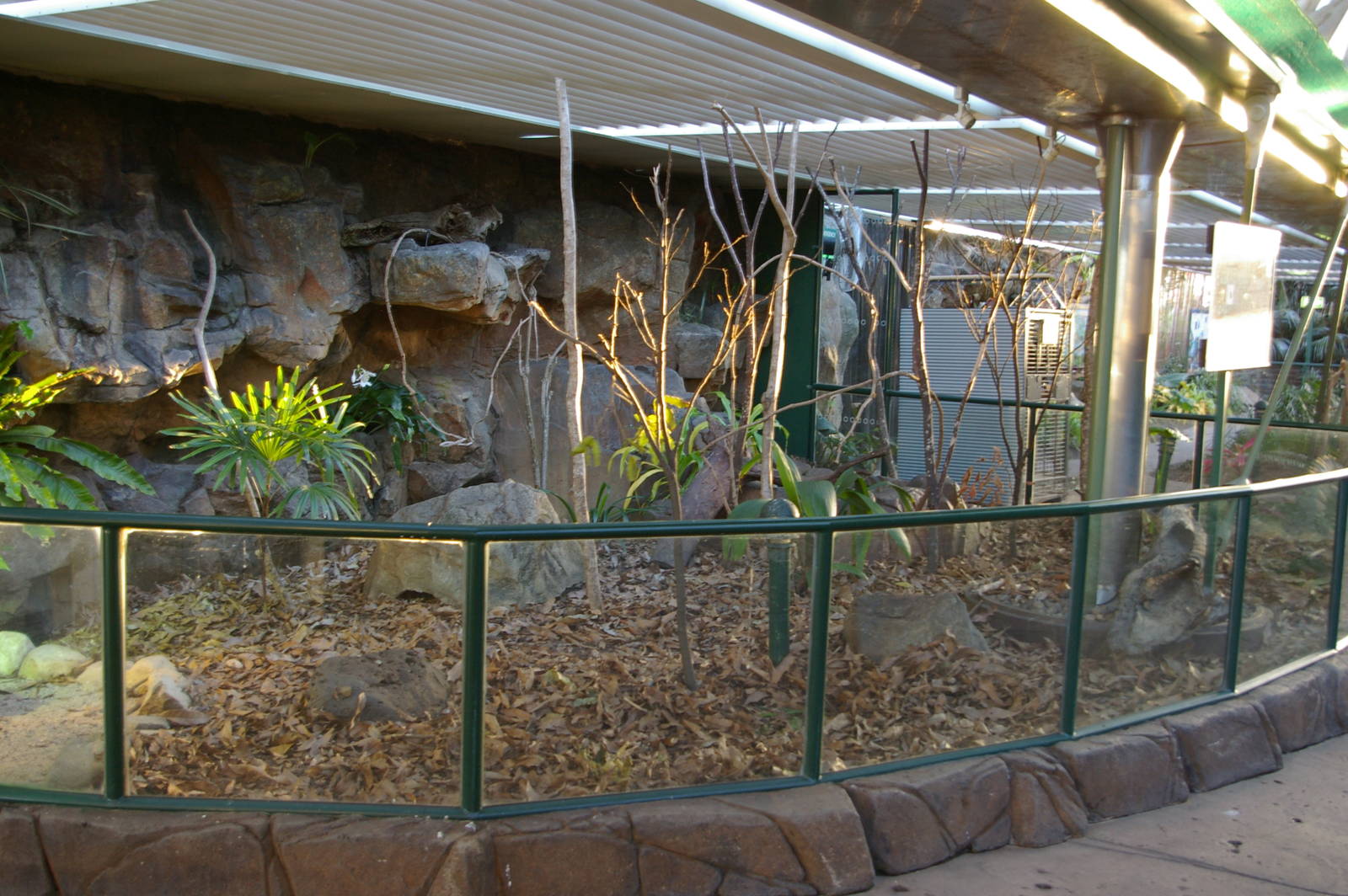 lizard enclosure, Cairns Wildlife Dome