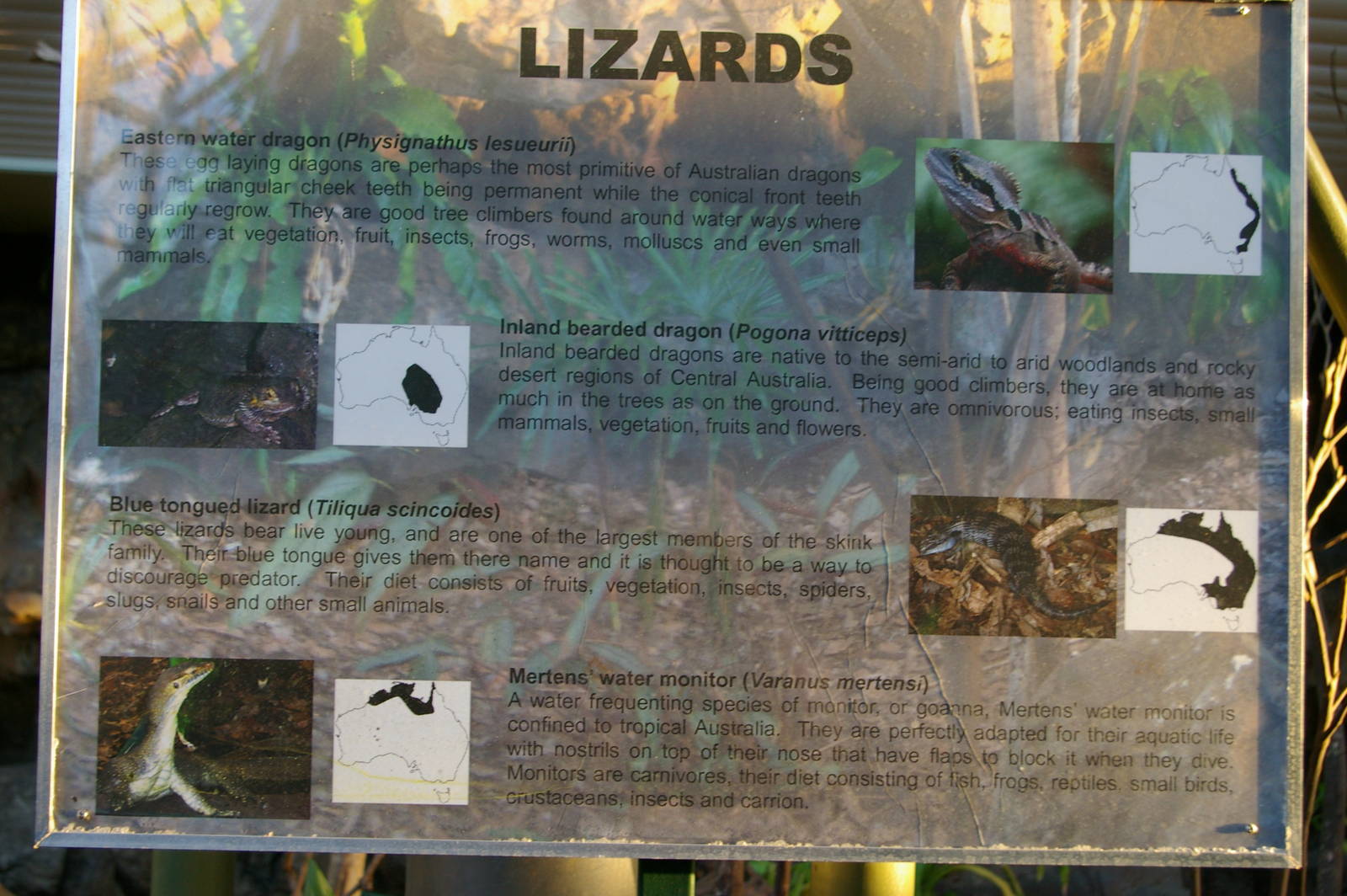 lizard enclosure sign, Cairns Wildlife Dome