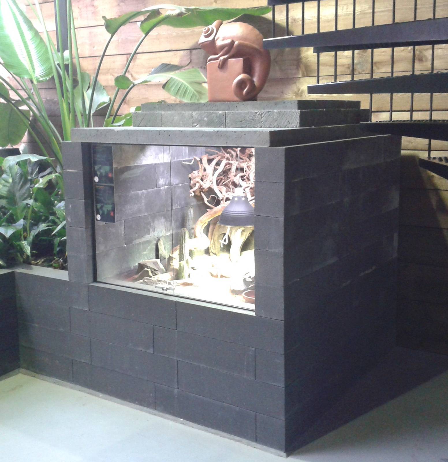lizard enclosure