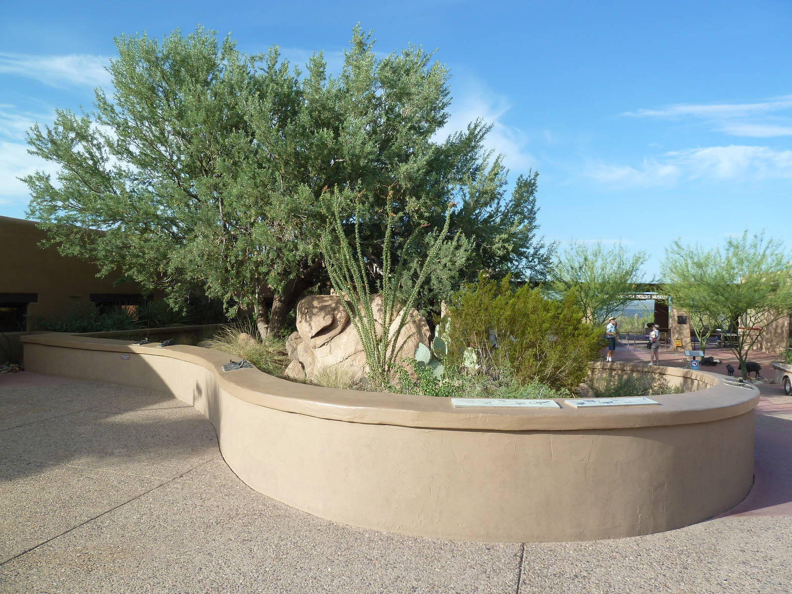 Lizard Exhibit (11 Species)