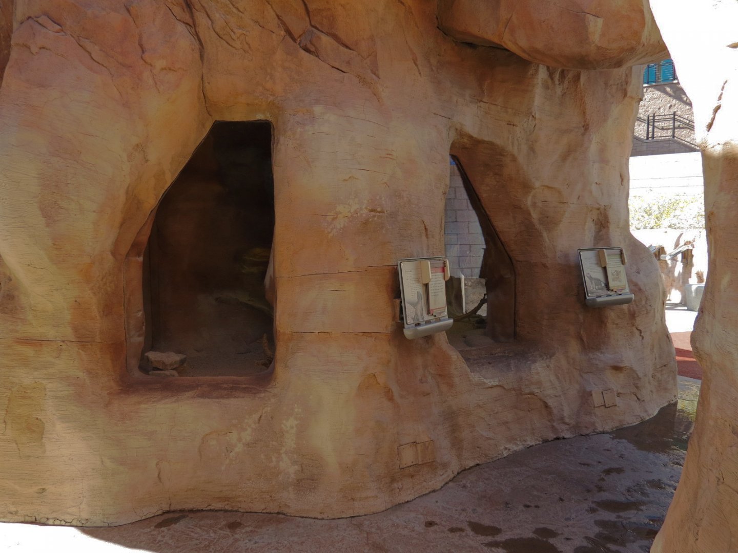 Lizard Exhibit - 3 species