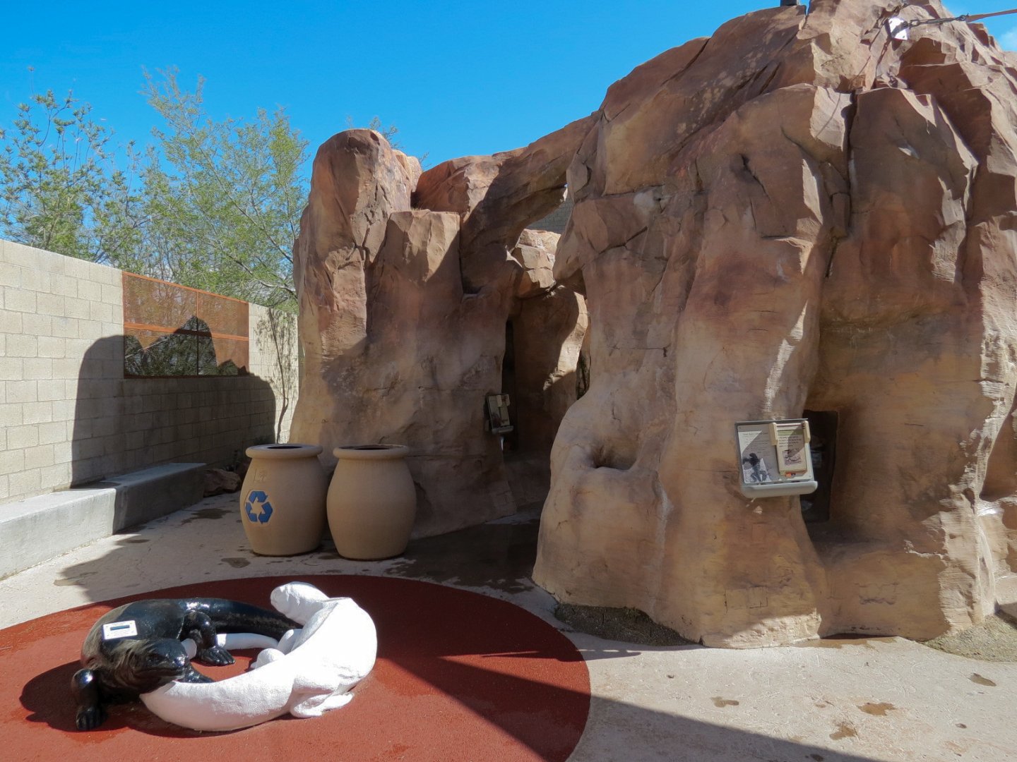 Lizard Exhibit - 3 species