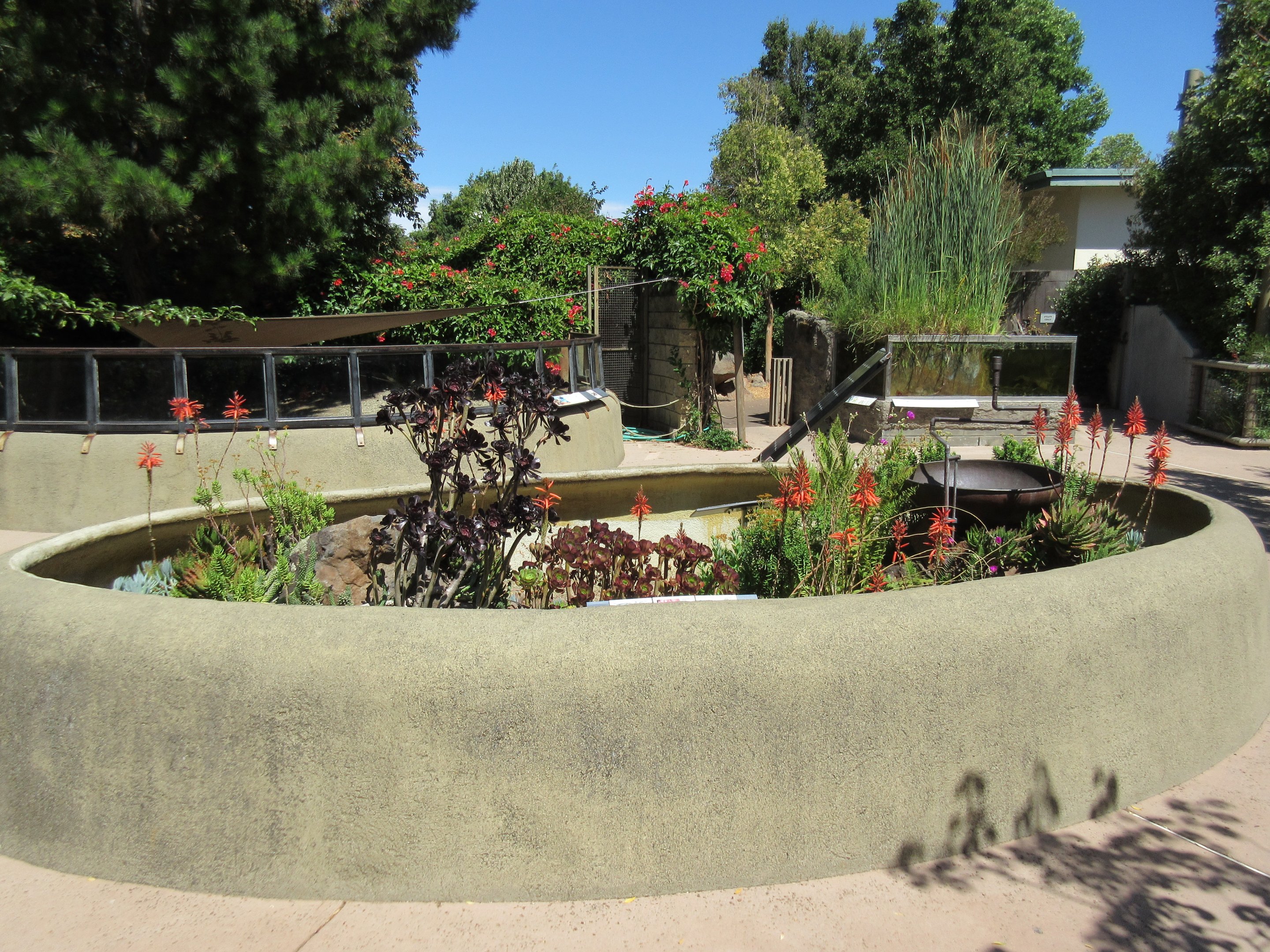 Lizard Exhibit (3 Species)