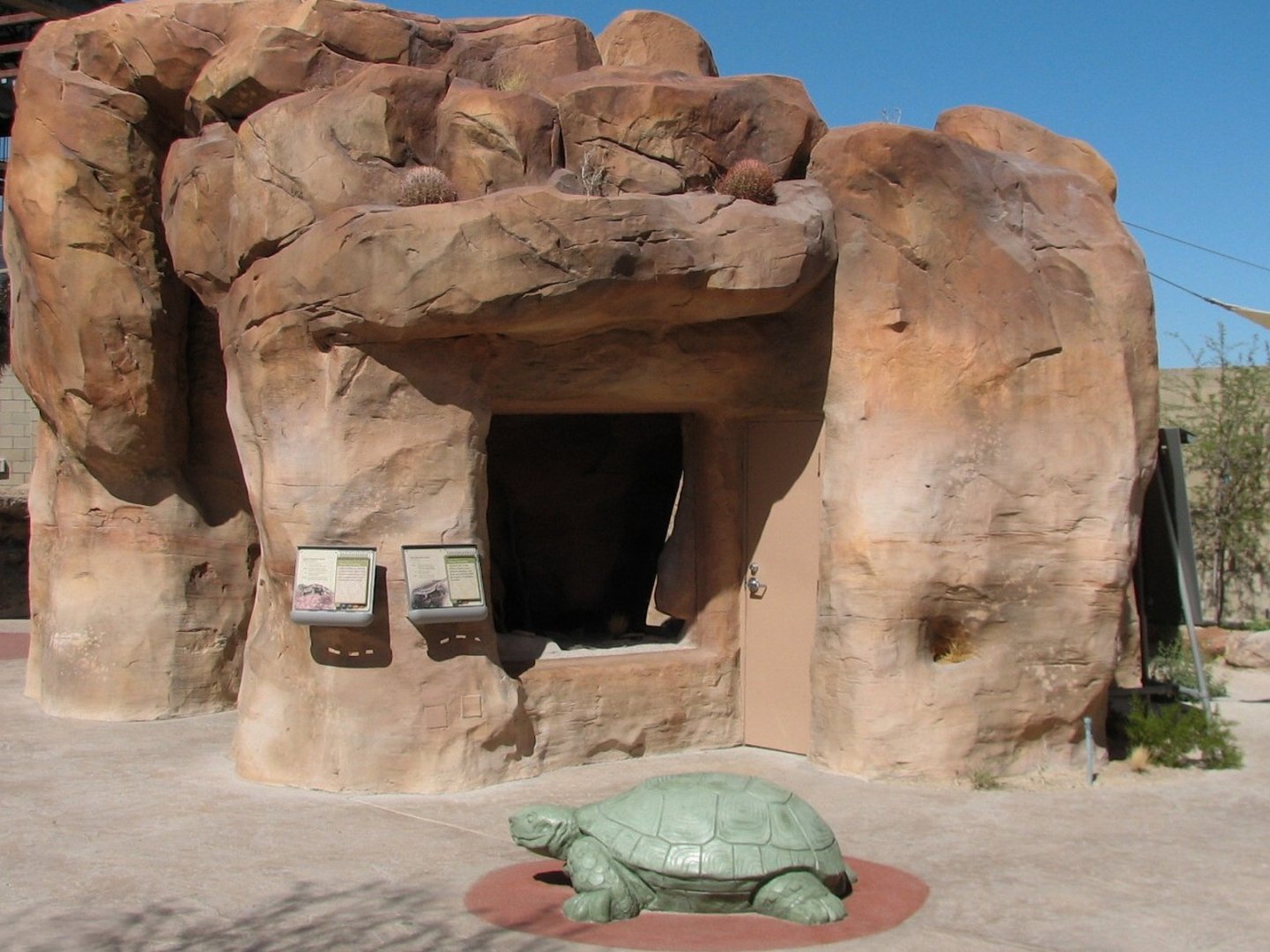 Lizard Exhibit - 4 species