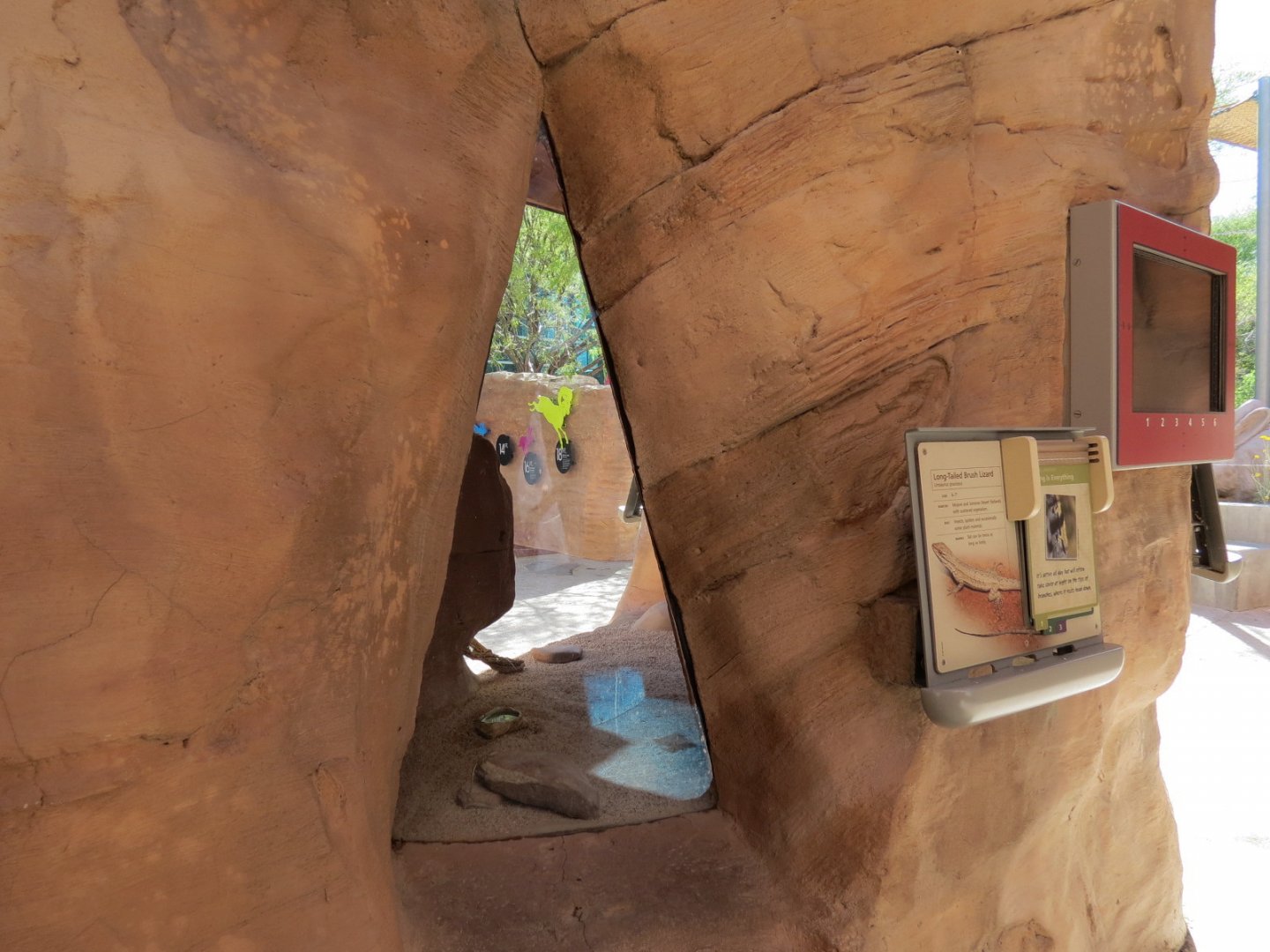 Lizard Exhibit - 4 species