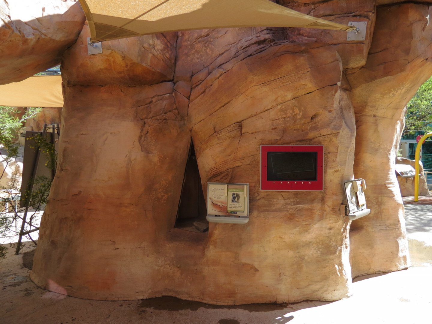 Lizard Exhibit - 4 species