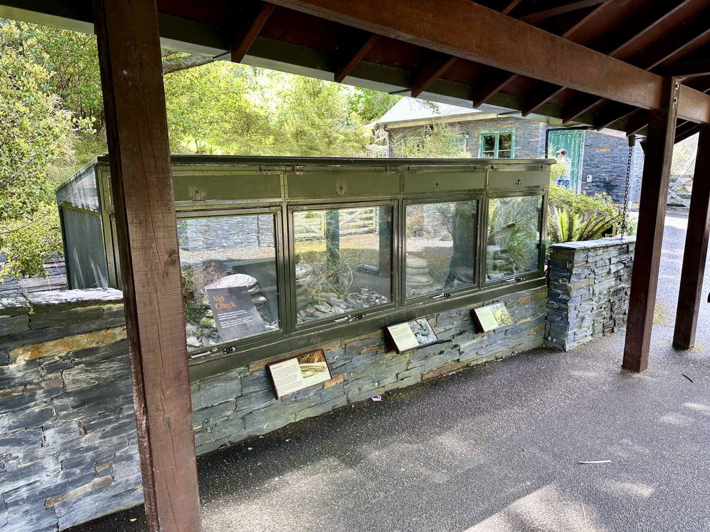 Lizard Exhibits (The High Country)