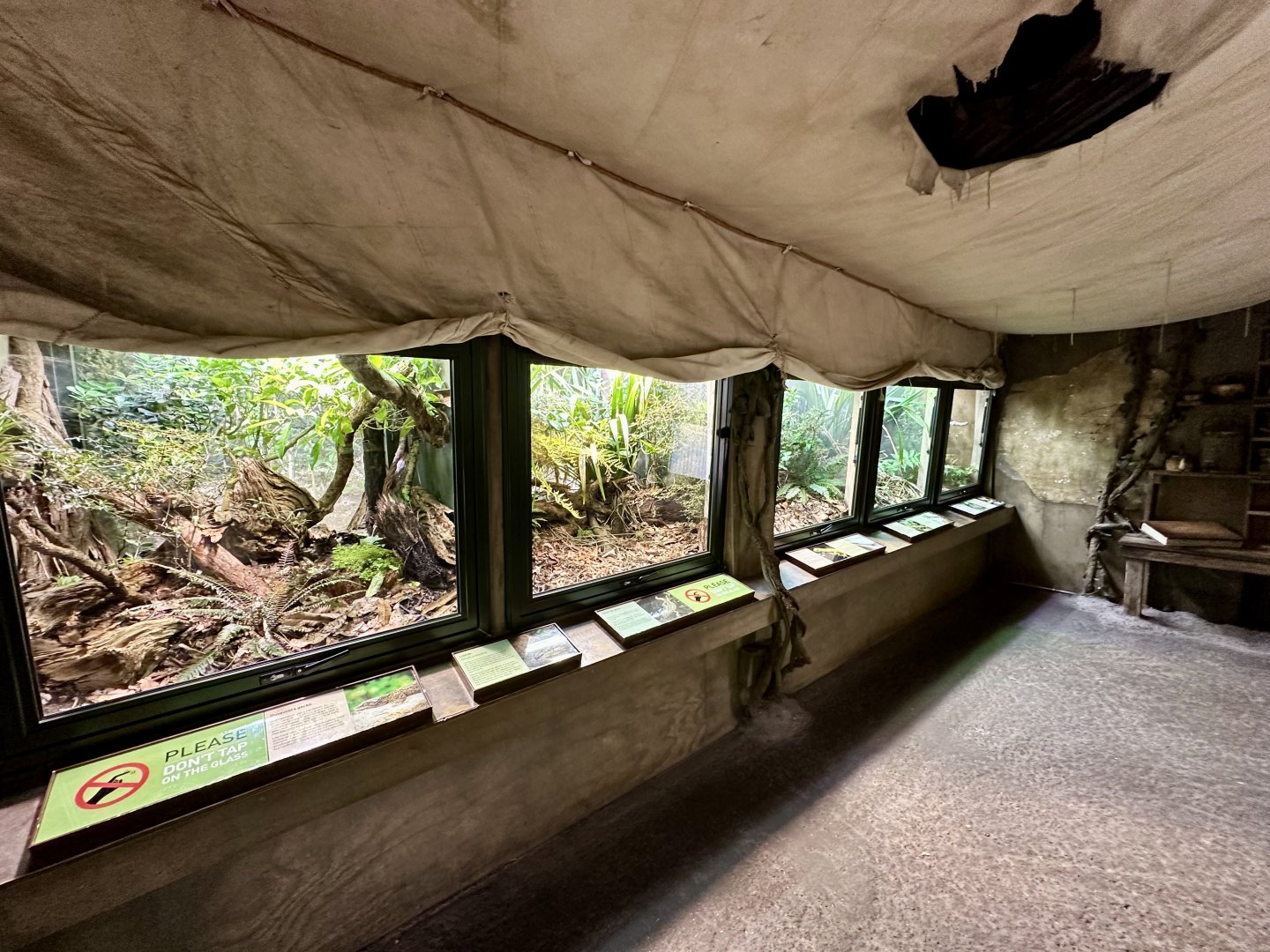 Lizard Exhibits (The Islands)