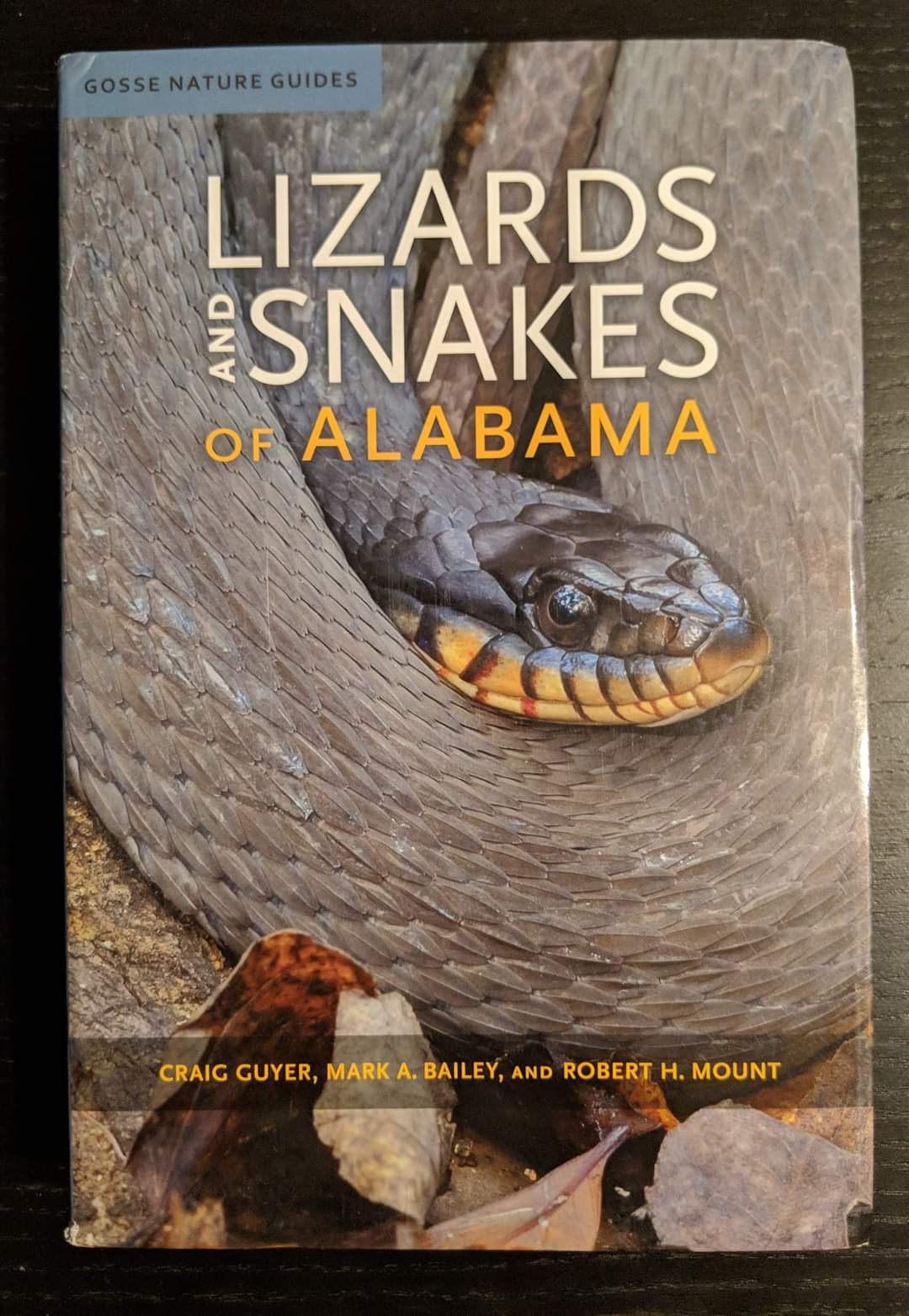 Lizards and Snakes of Alabama