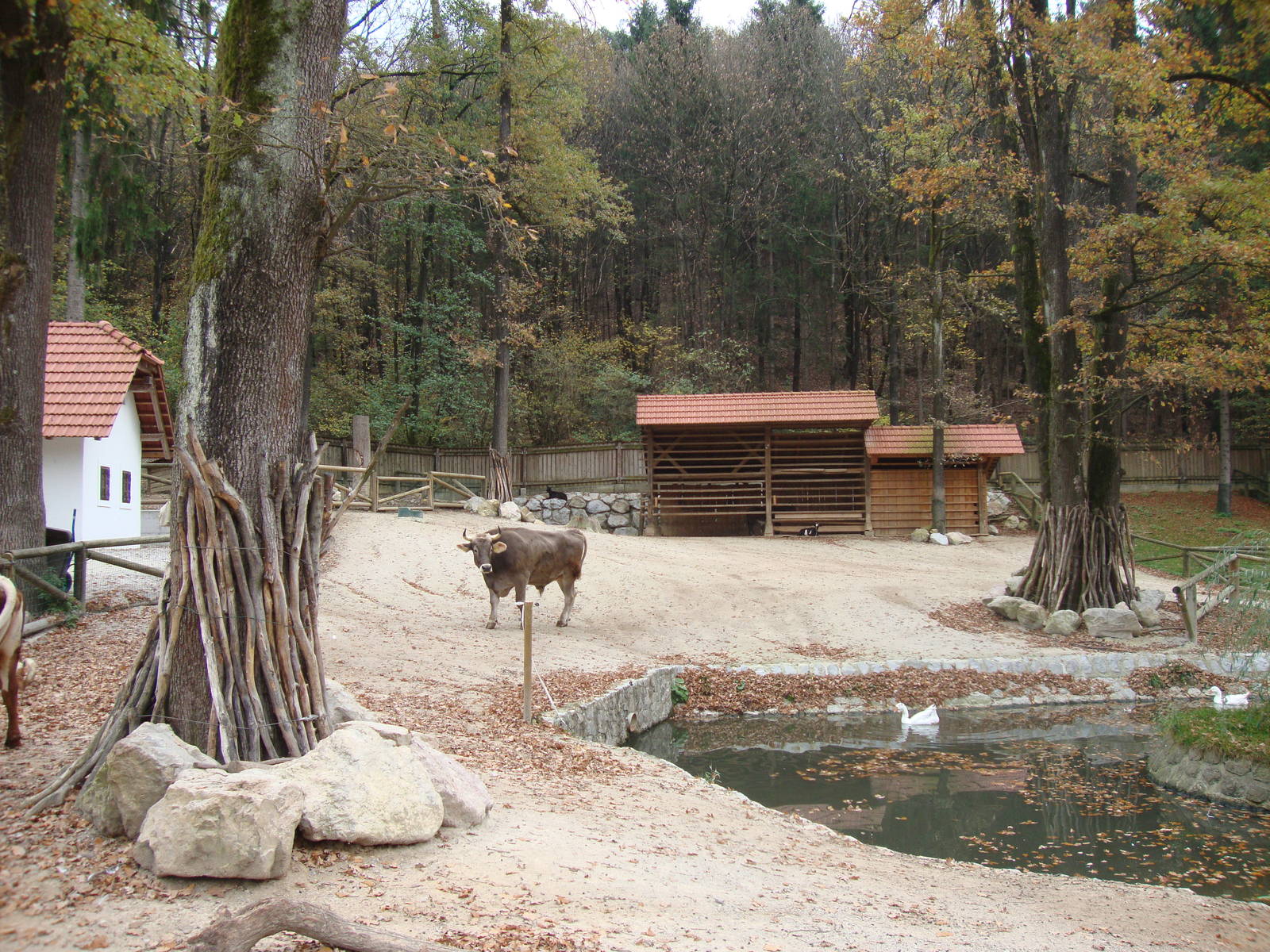 Ljubljana Zoo October 2013