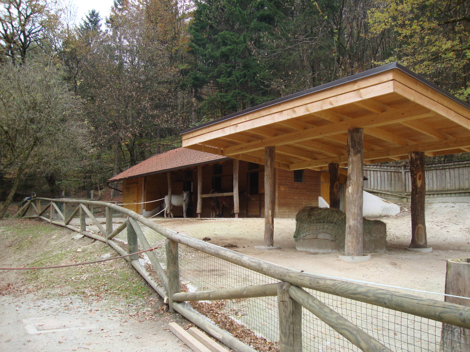 Ljubljana Zoo October 2013