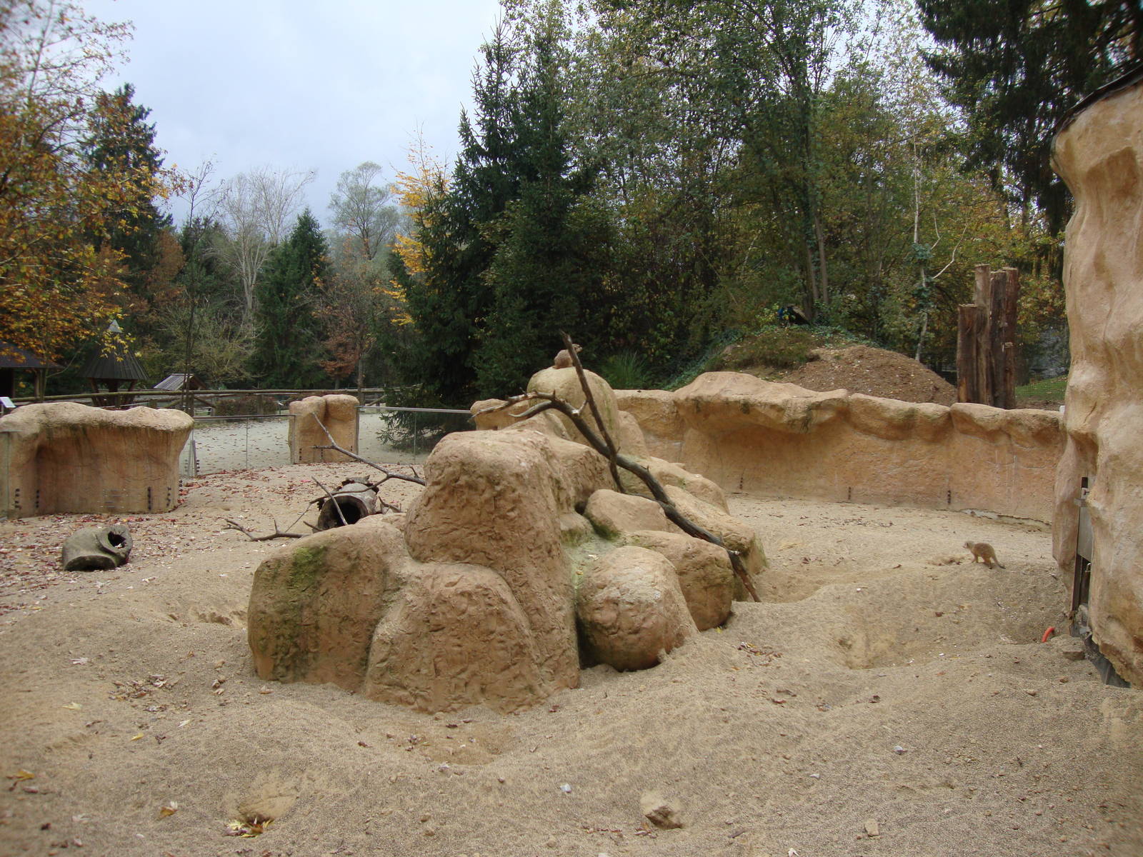 Ljubljana Zoo October 2013