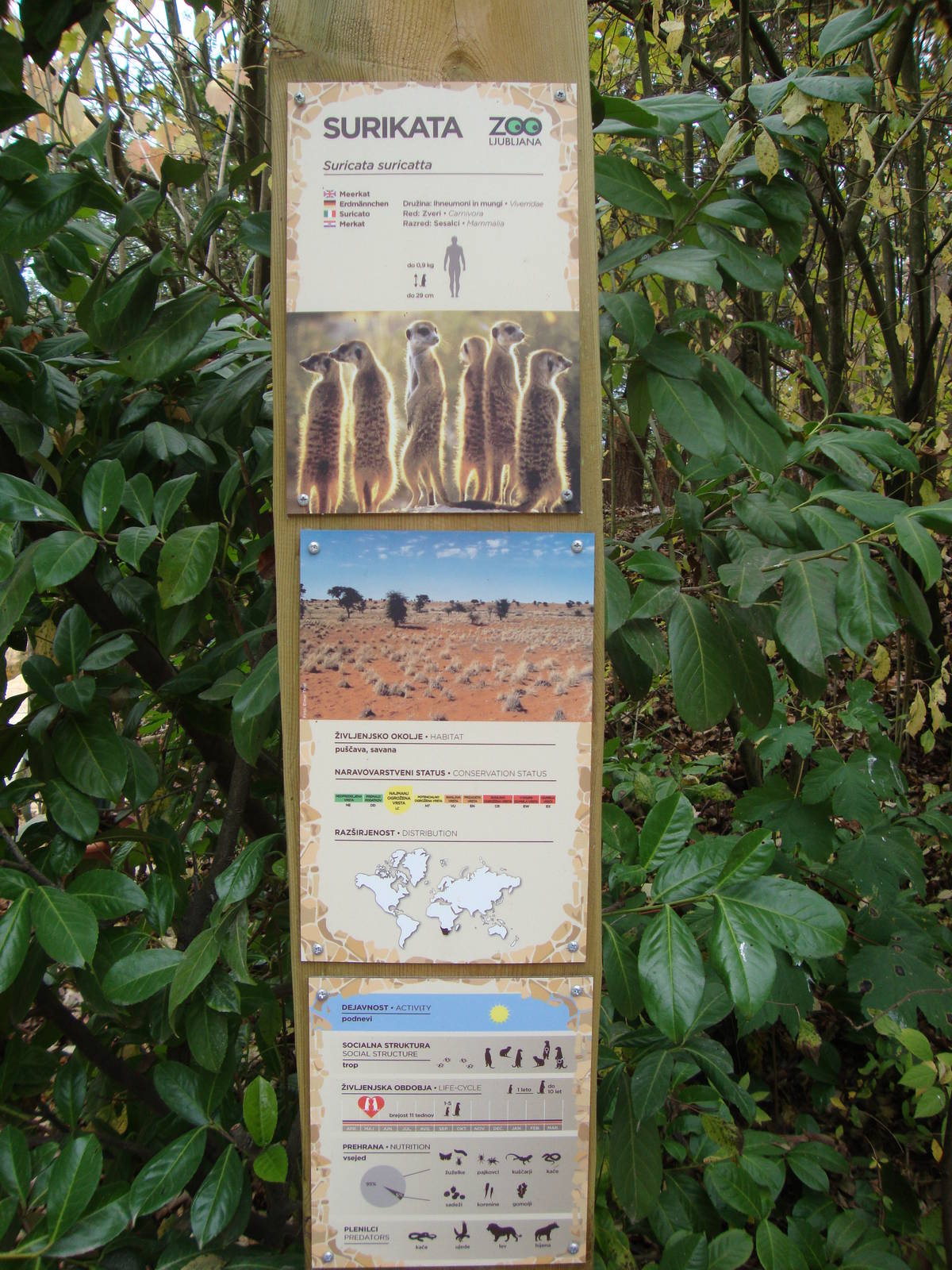 Ljubljana Zoo October 2013