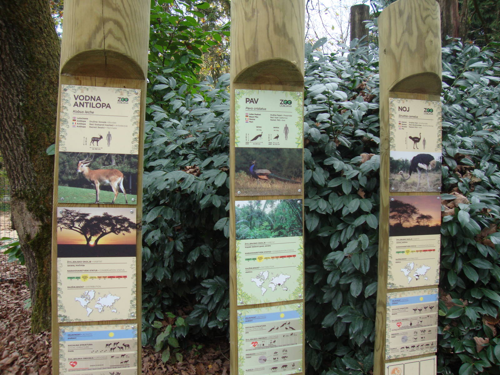 Ljubljana Zoo October 2013