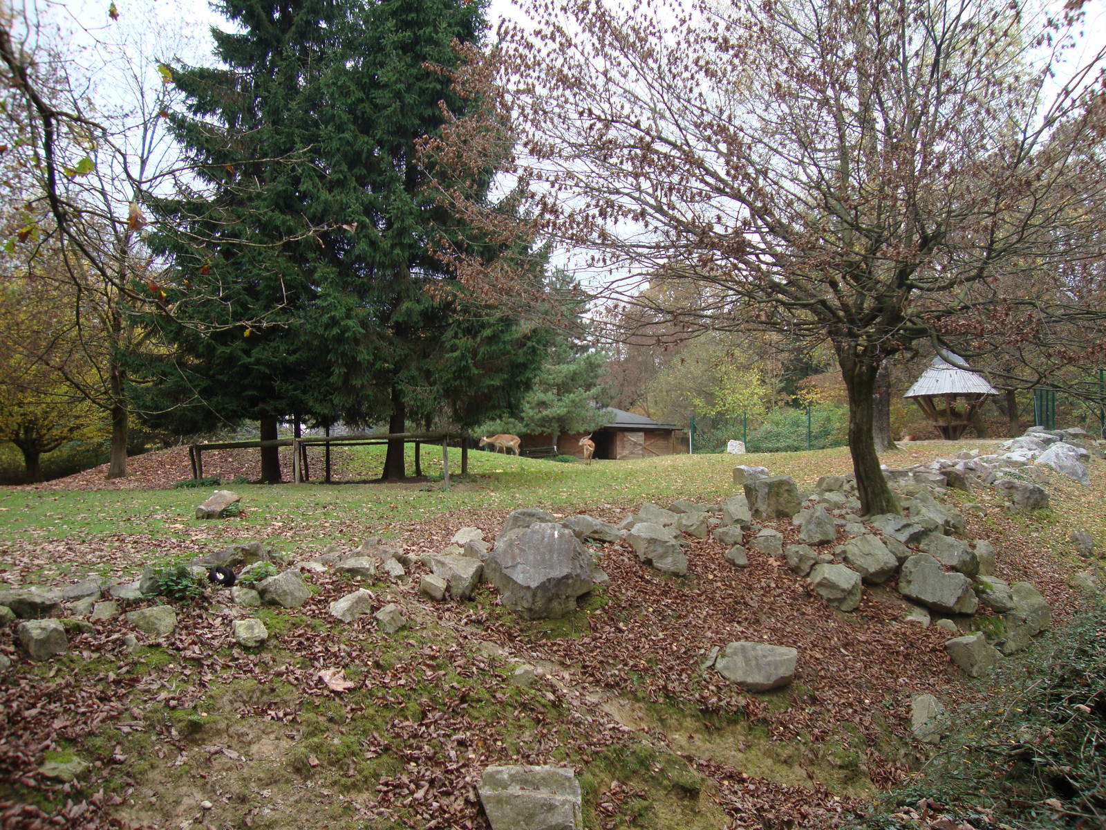 Ljubljana Zoo October 2013