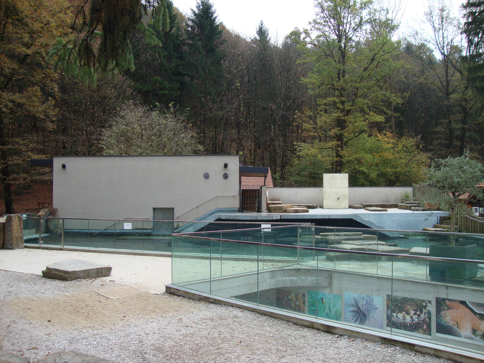 Ljubljana Zoo October 2013