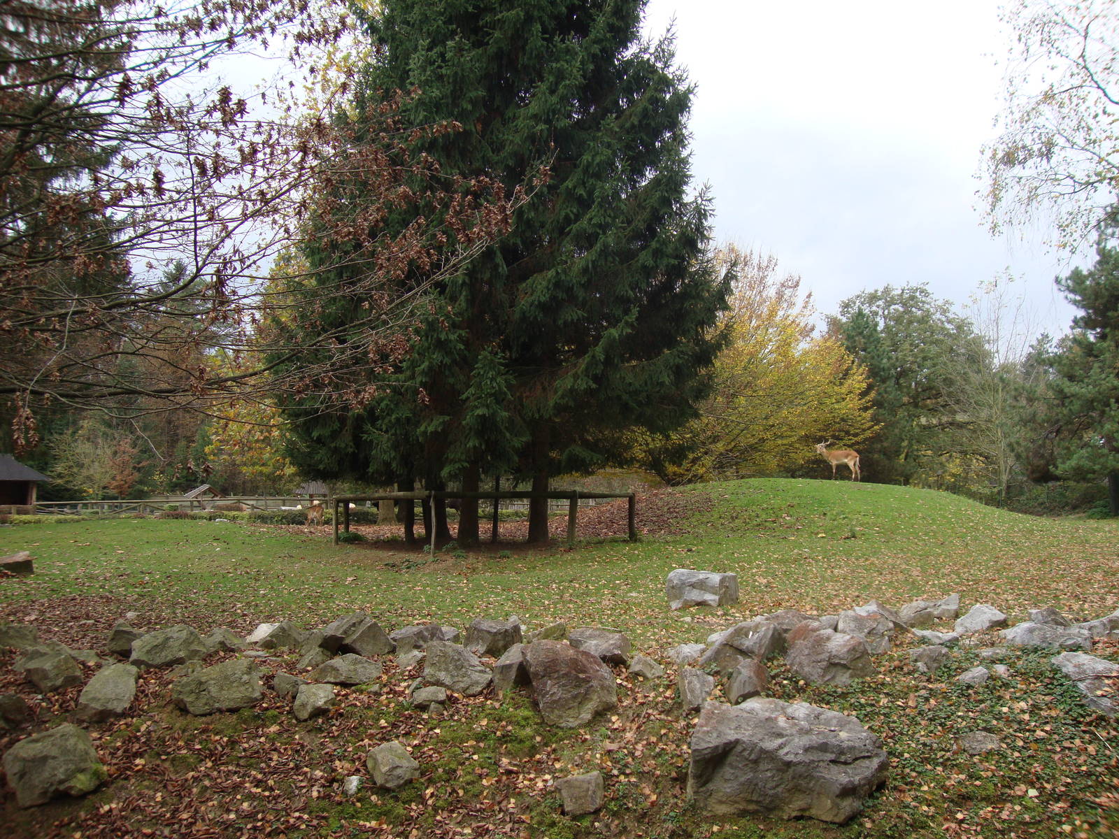 Ljubljana Zoo October 2013