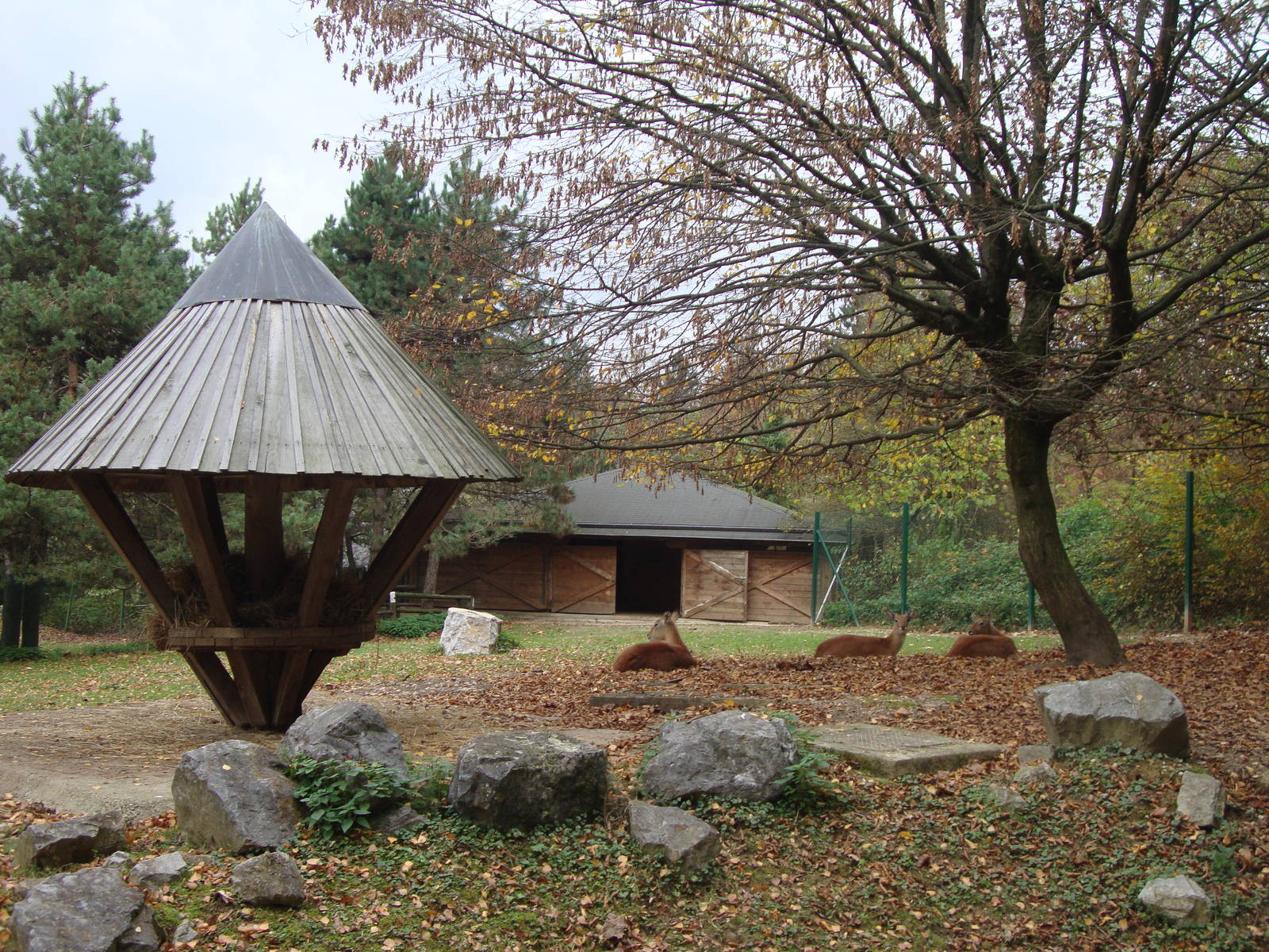 Ljubljana Zoo October 2013
