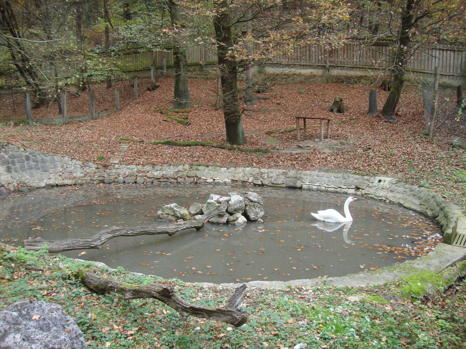 Ljubljana Zoo October 2013